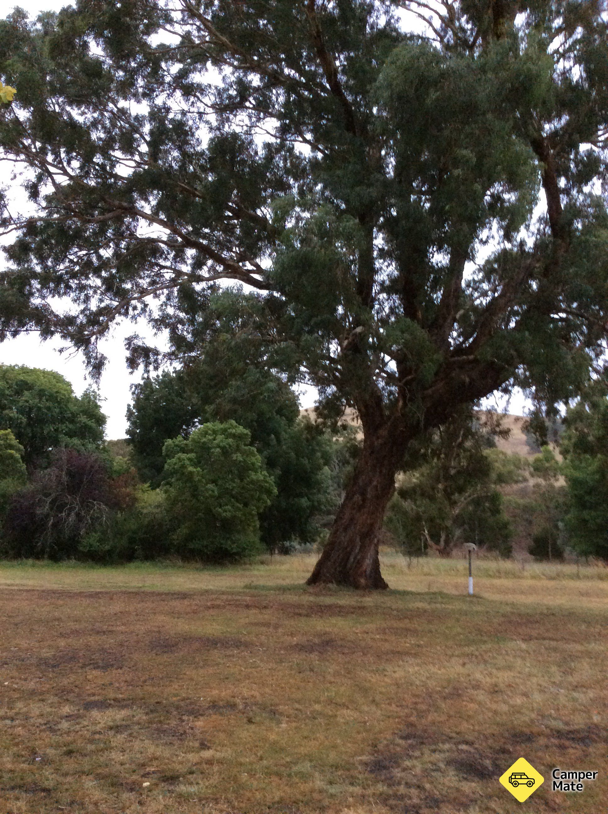 Ensay Recreation Ground - Image 2