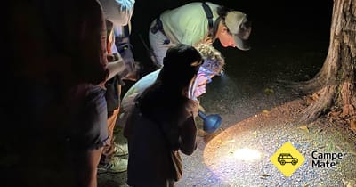 Spot the Nightlife - Guided Nocturnal Walk at Howard Springs Nature Park