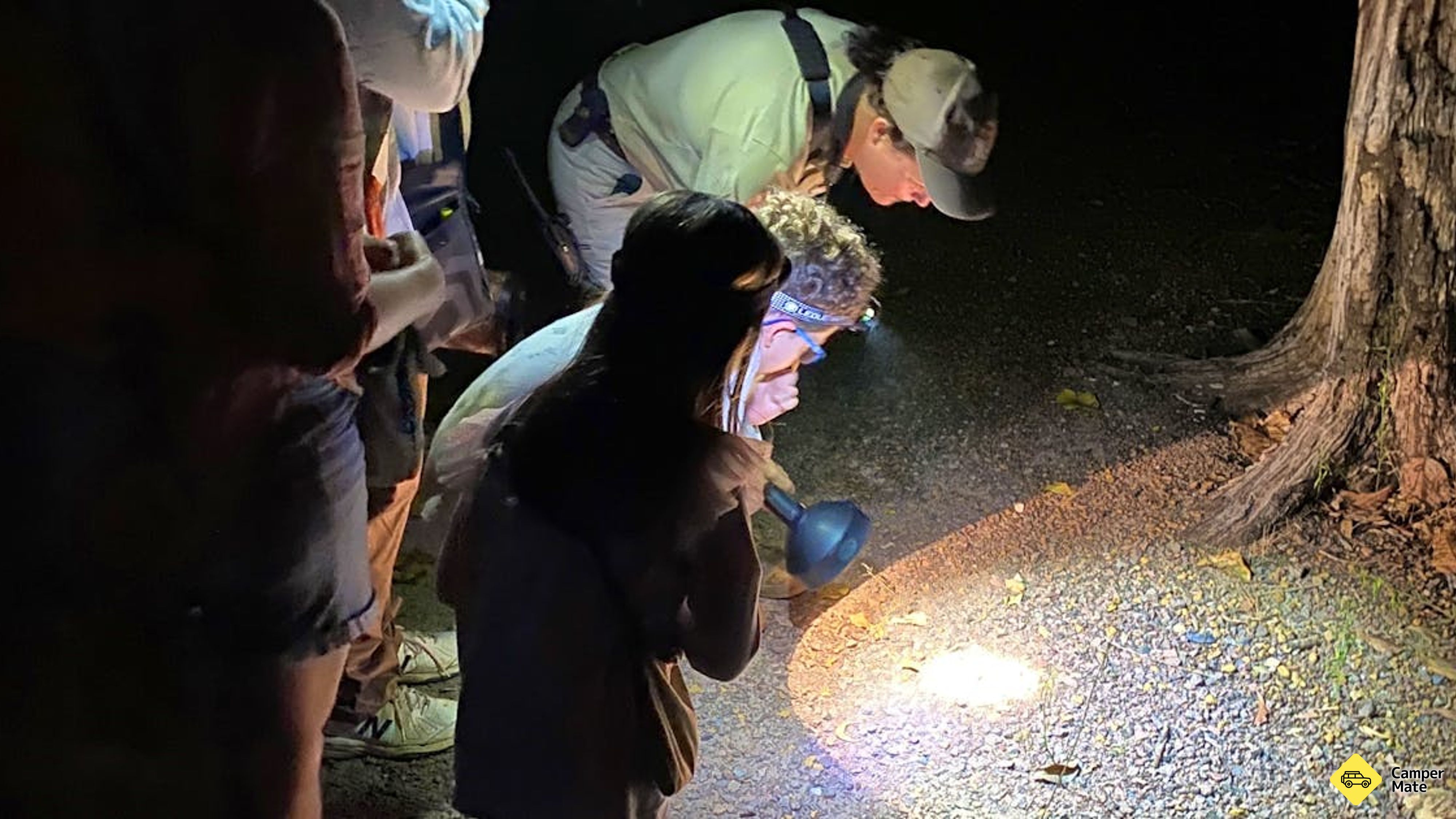 Spot the Nightlife - Guided Nocturnal Walk at Howard Springs Nature Park