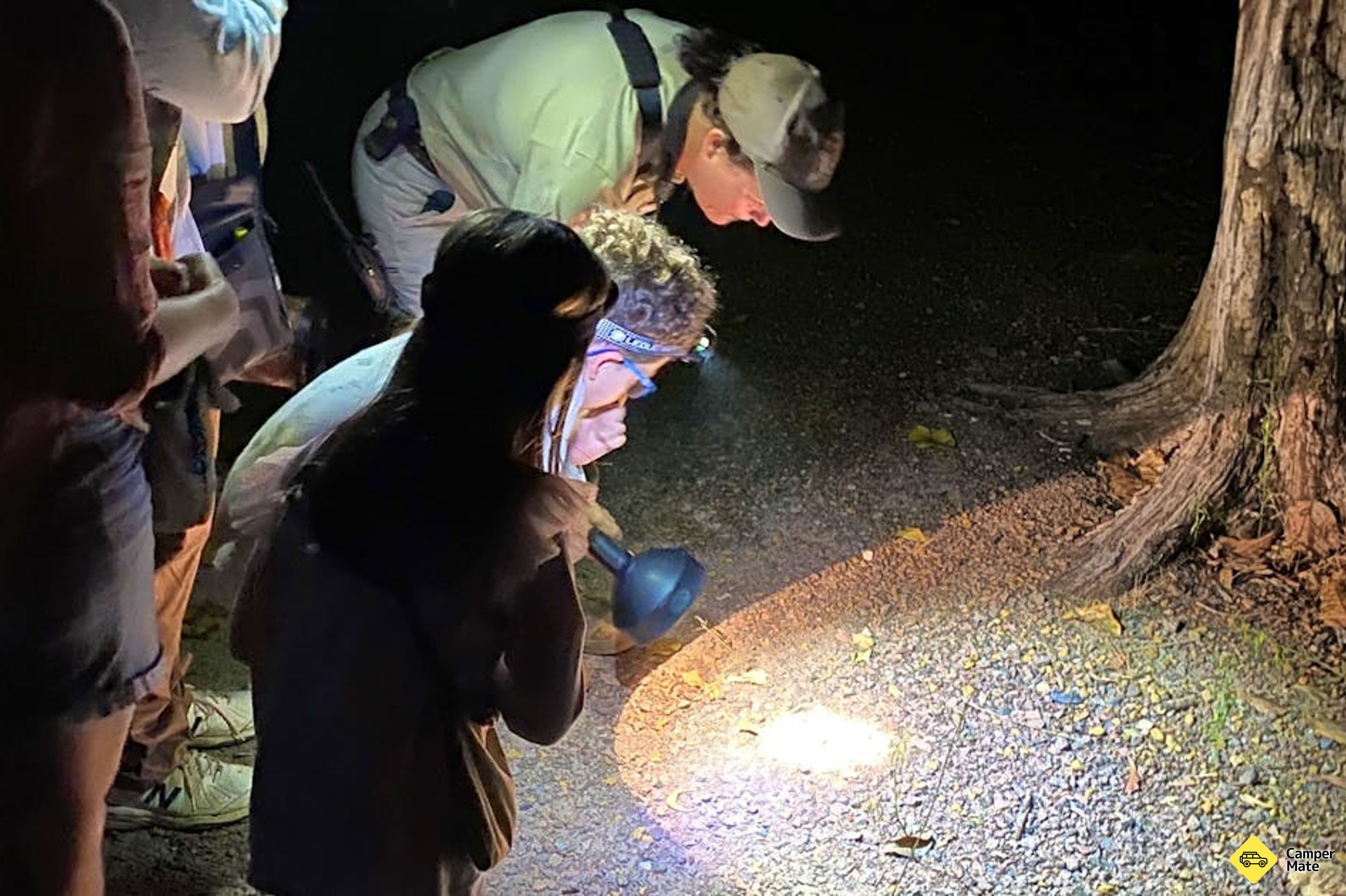 Spot the Nightlife - Guided Nocturnal Walk at Howard Springs Nature Park