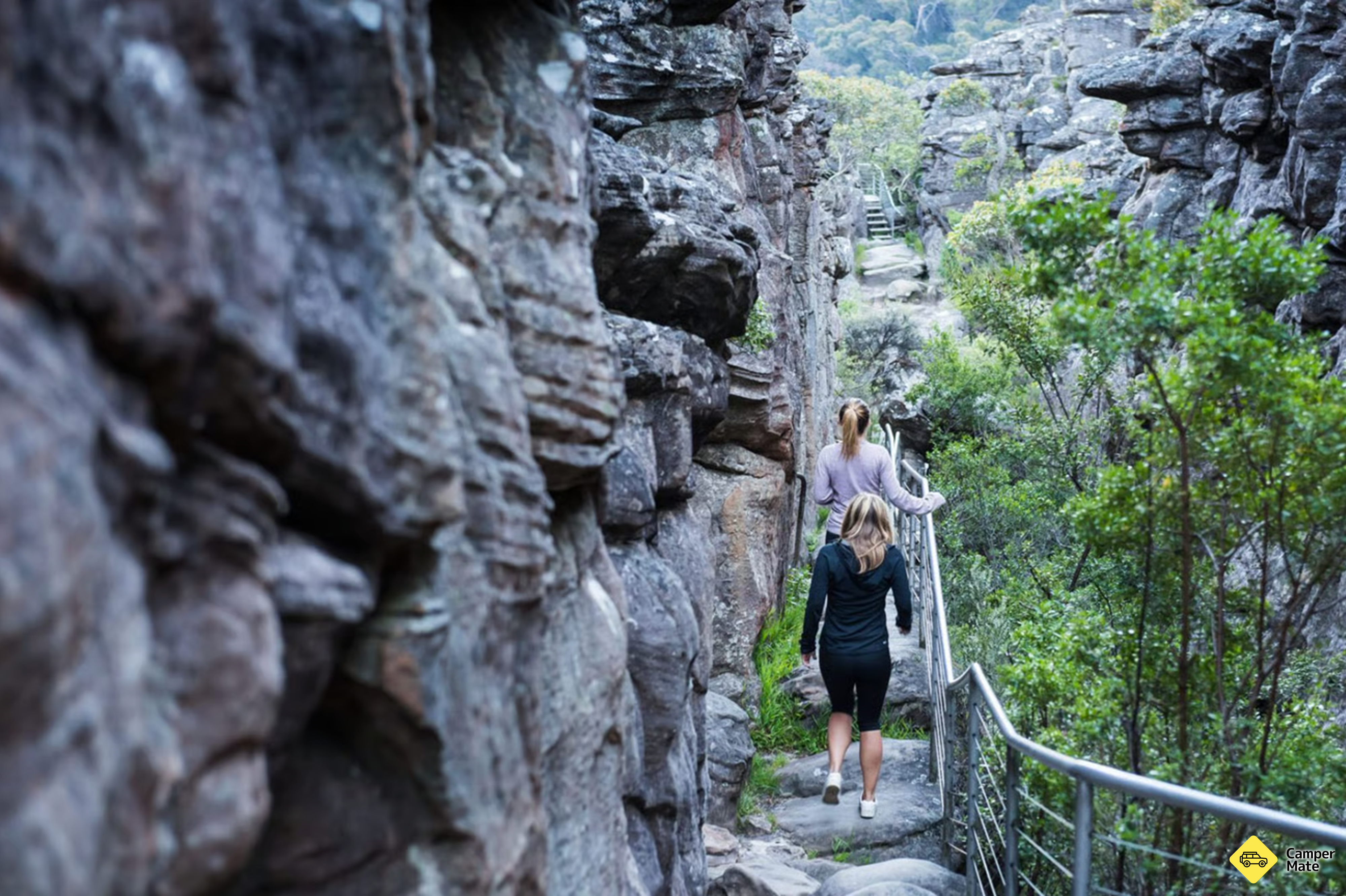 The Pinnacle Walk and Lookout ke stažení - Image 2