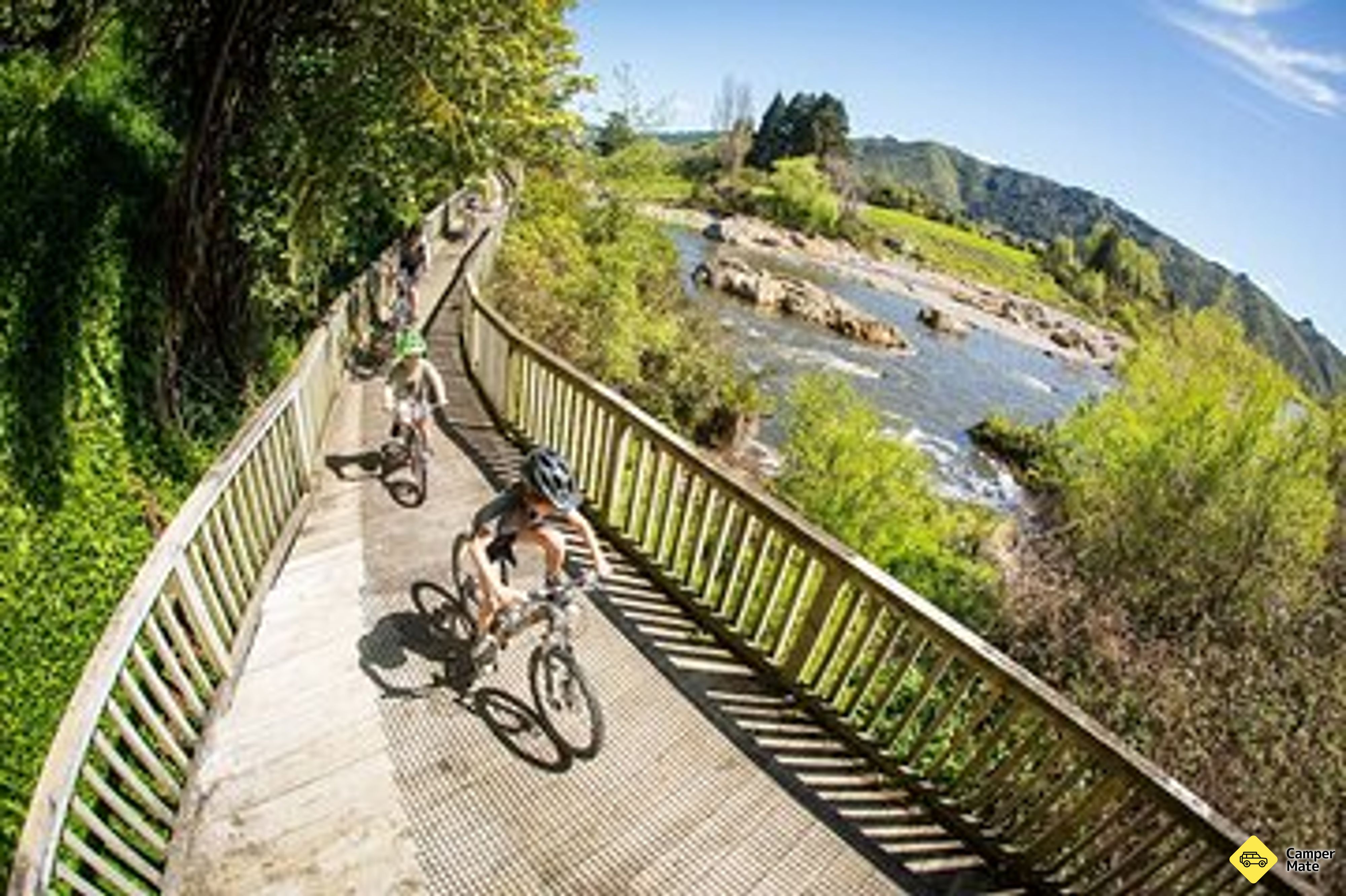 Wellington's Kiwi Holiday Park - Image 2