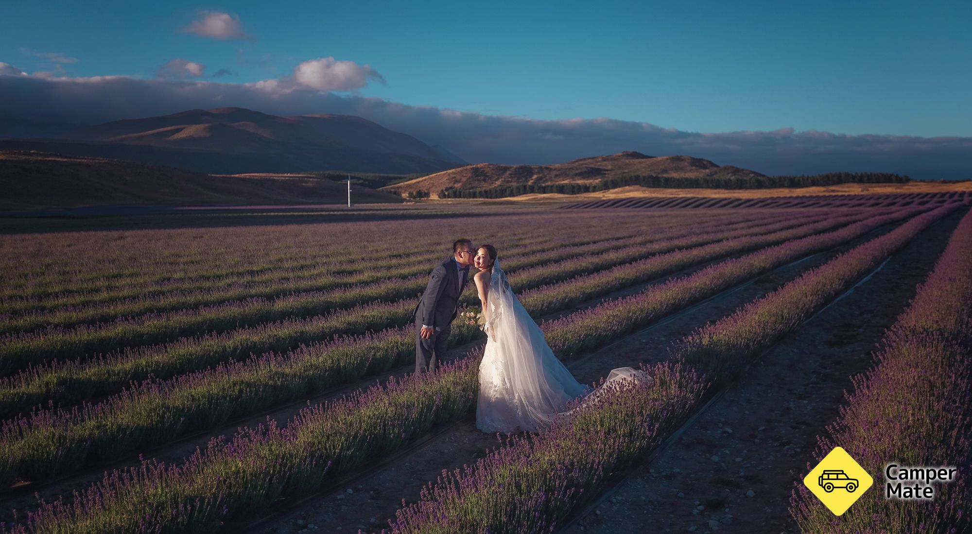 NZ Alpine Lavender Farm - Image 2