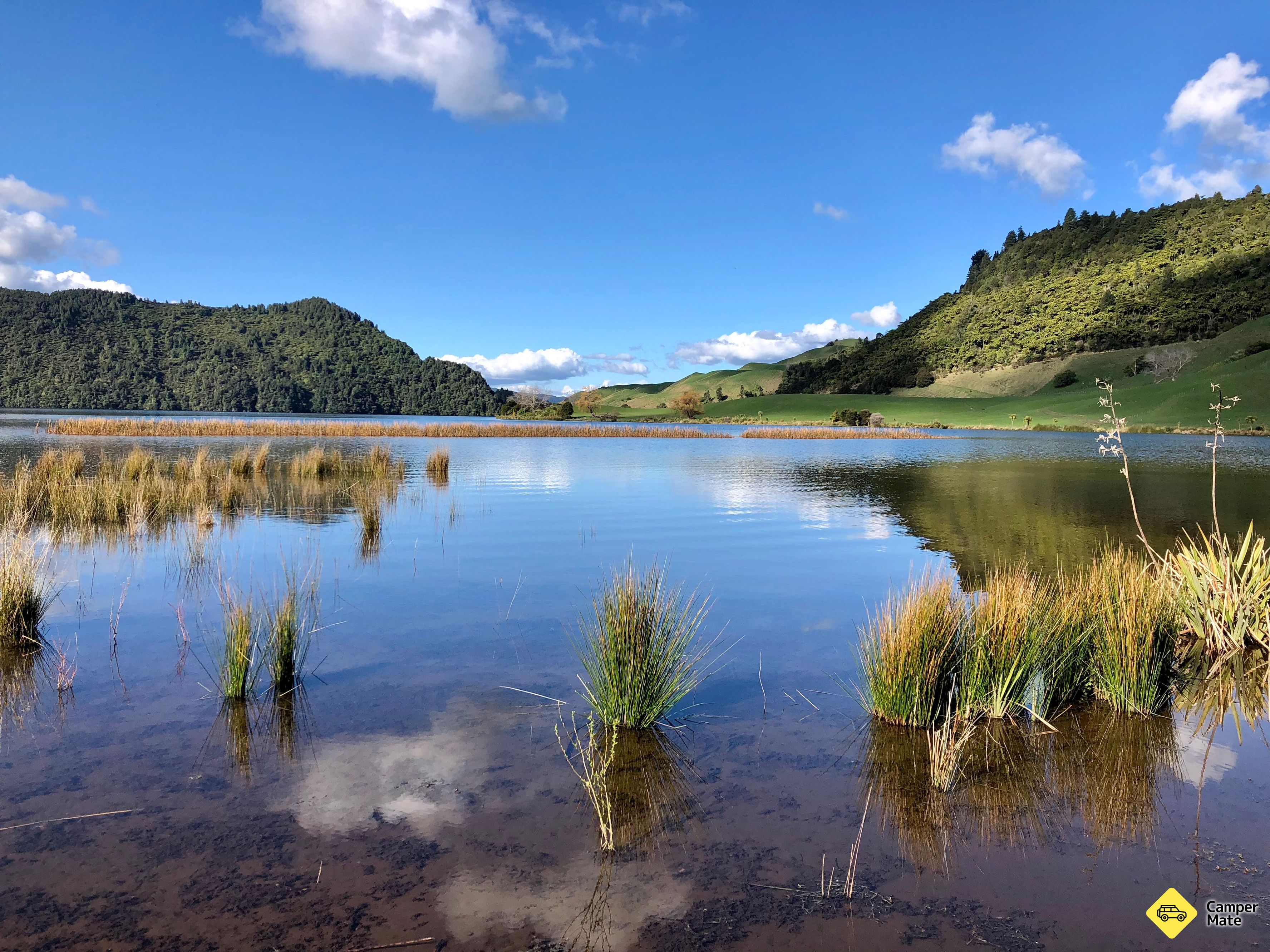 Lake Okareka Walkway - Image 3