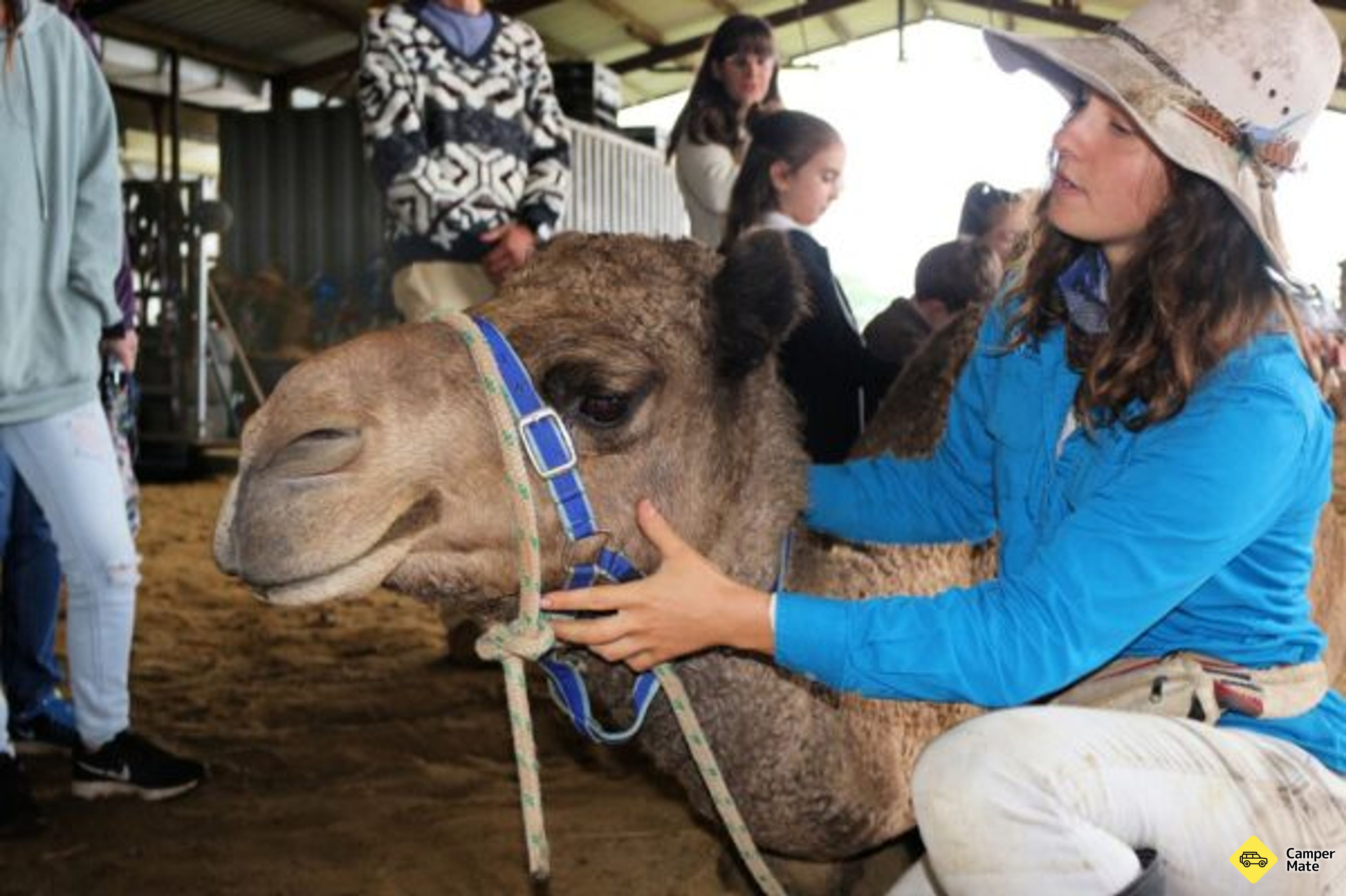 Tour, Taste and Camel Encounter - Eat Local Month - Image 3