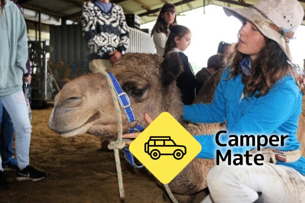 Tour, Taste and Camel Encounter  - Eat Local Month - Image 3