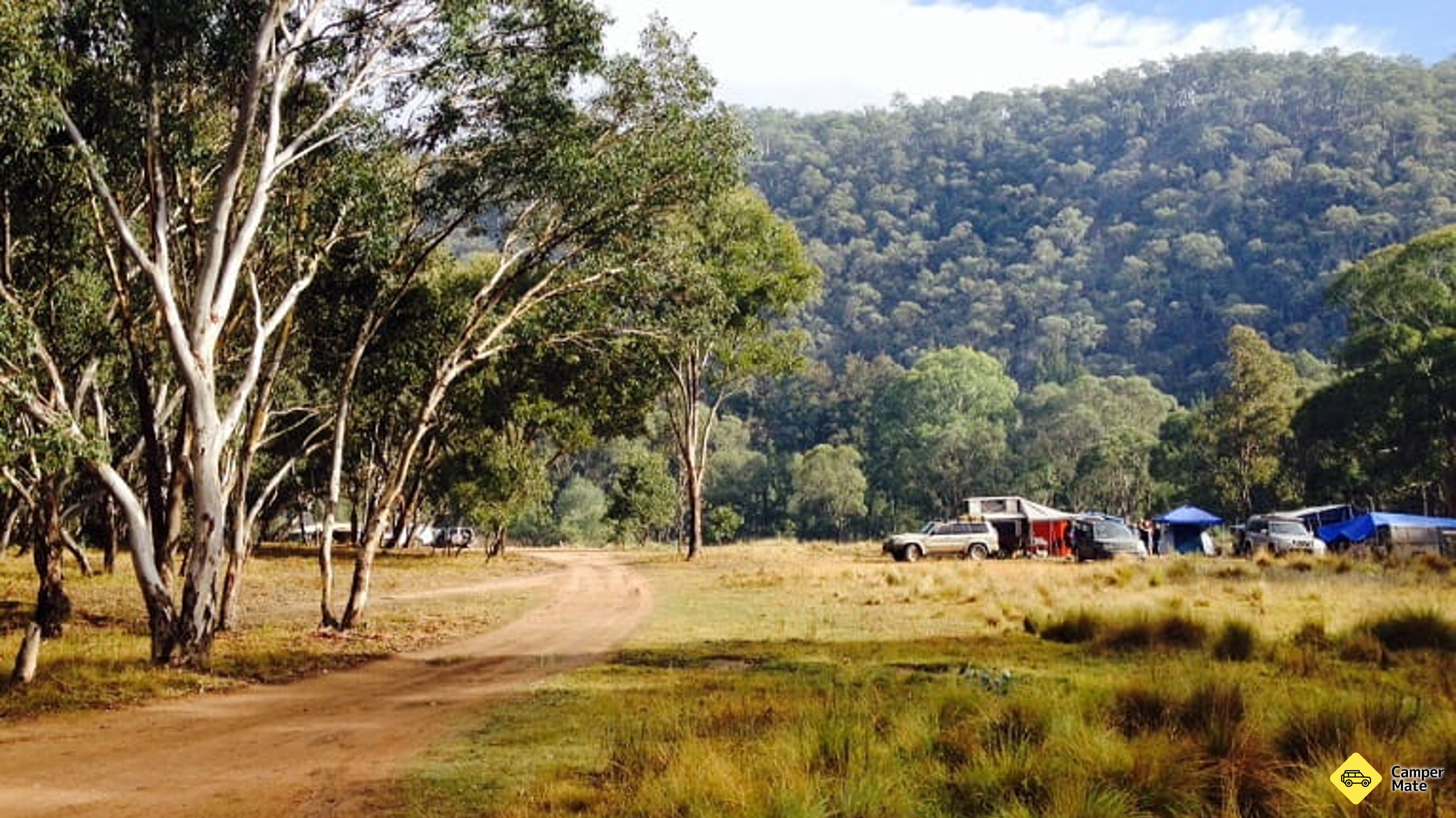 El campo de los Diggings