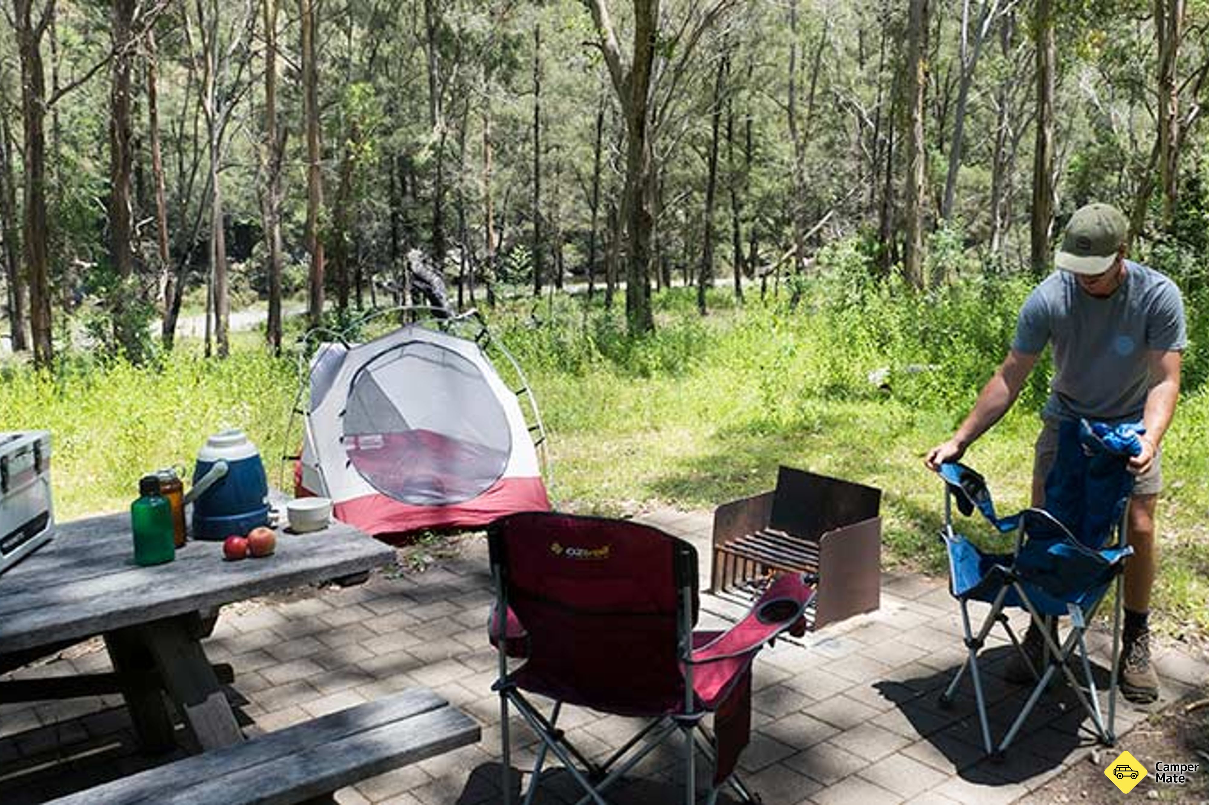 Halls Peak Campground And Picnic Area - Image 3