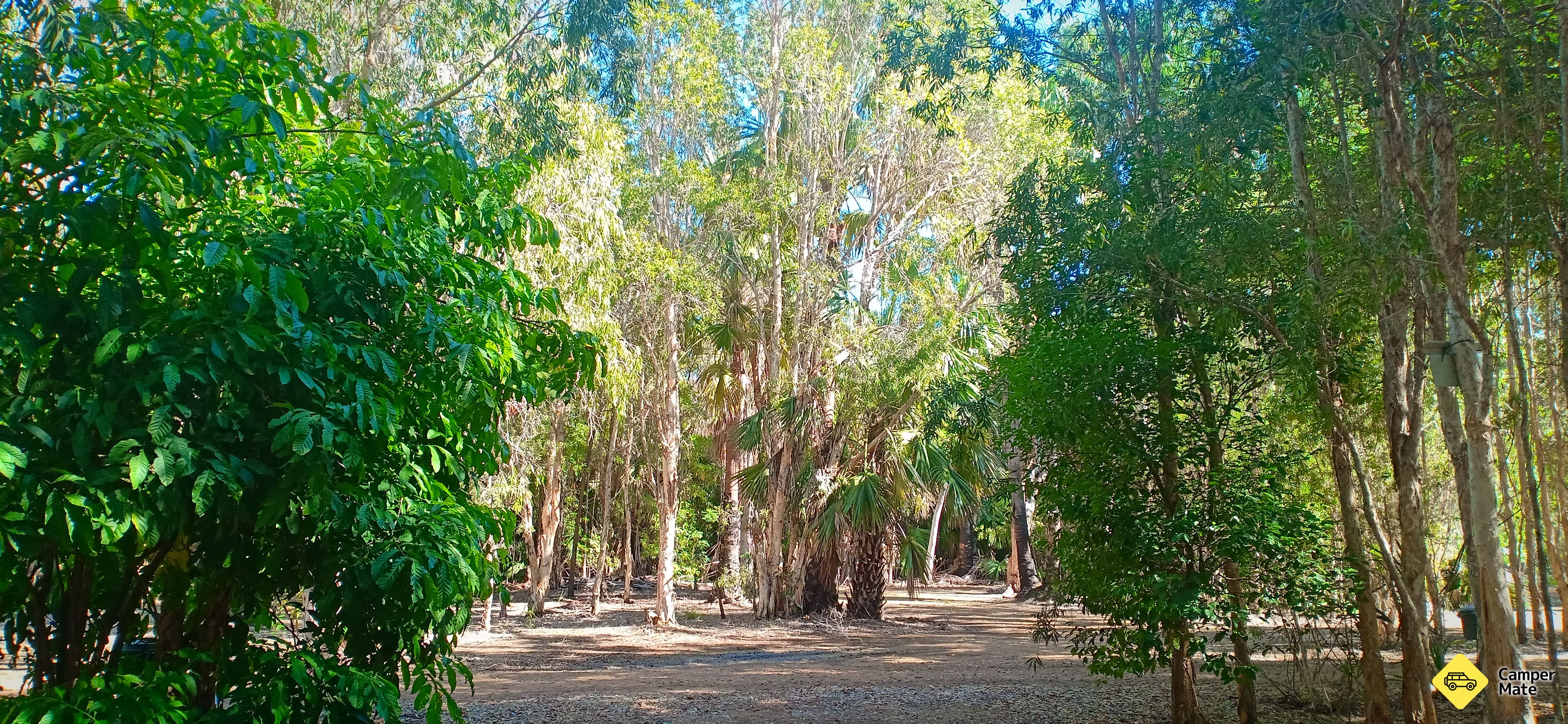 Bitter Springs Camping - Image 3