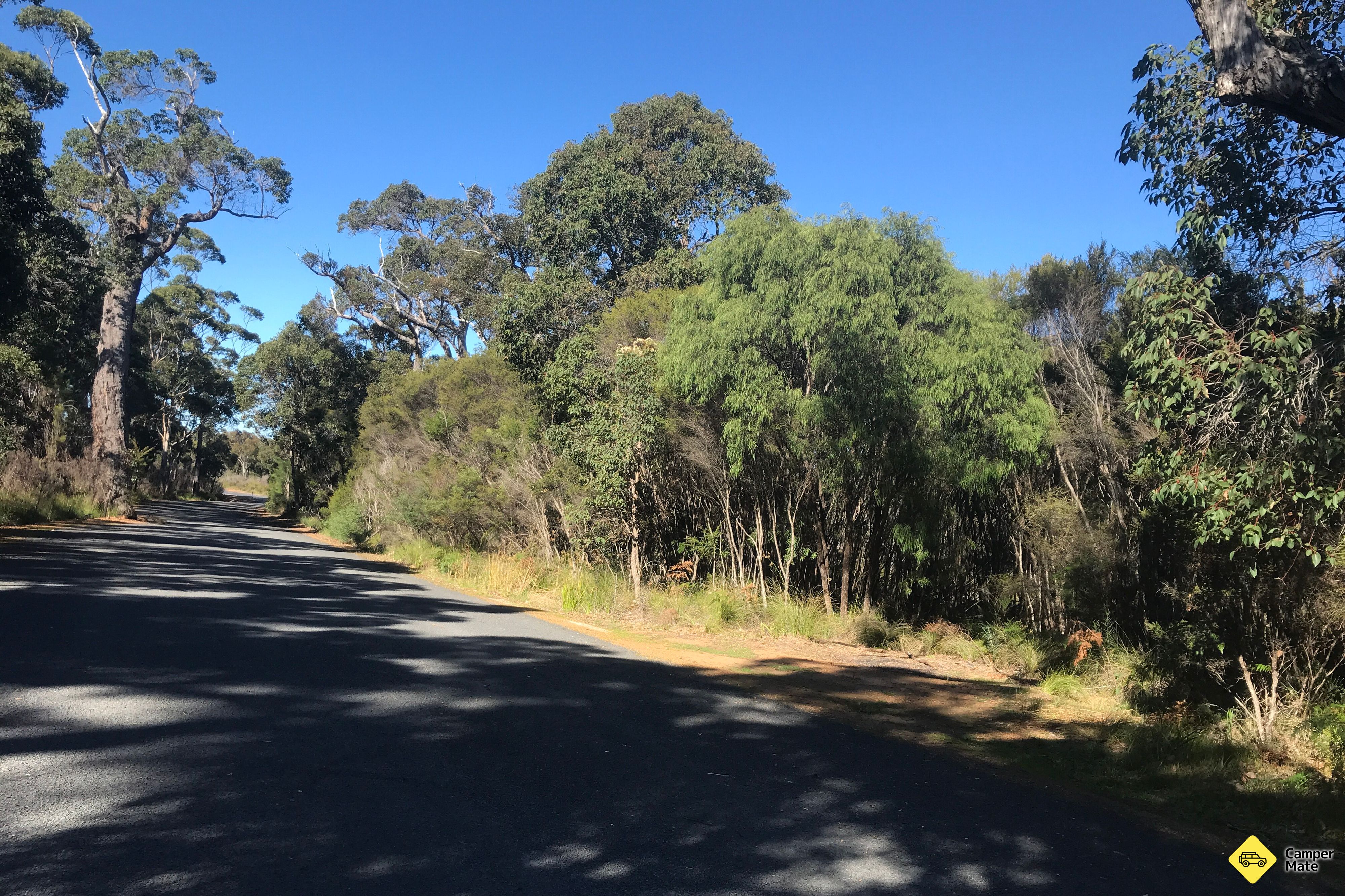 Walpole West Rest Area - Image 2