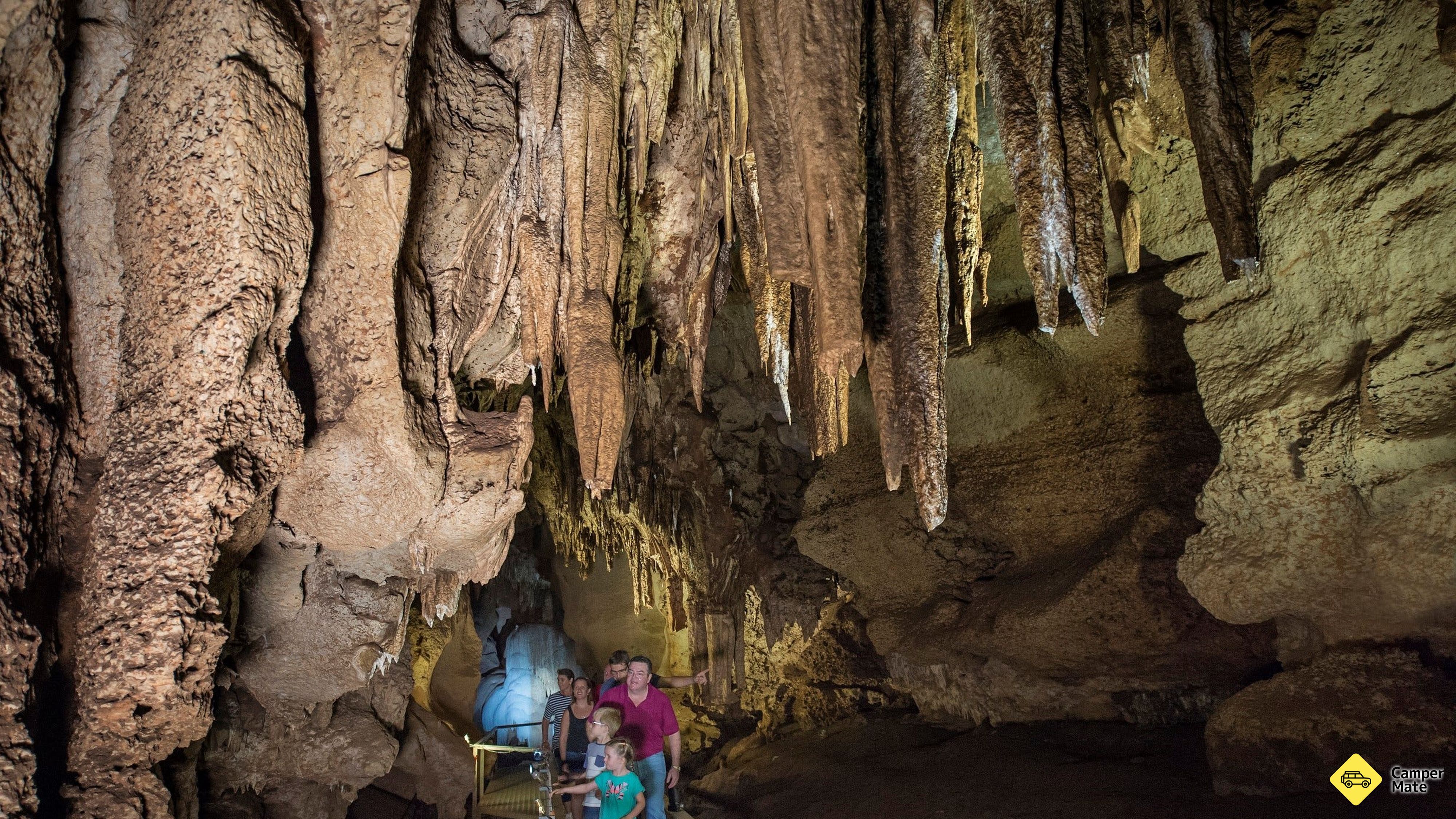 Cutta Cutta Caves Nature Park