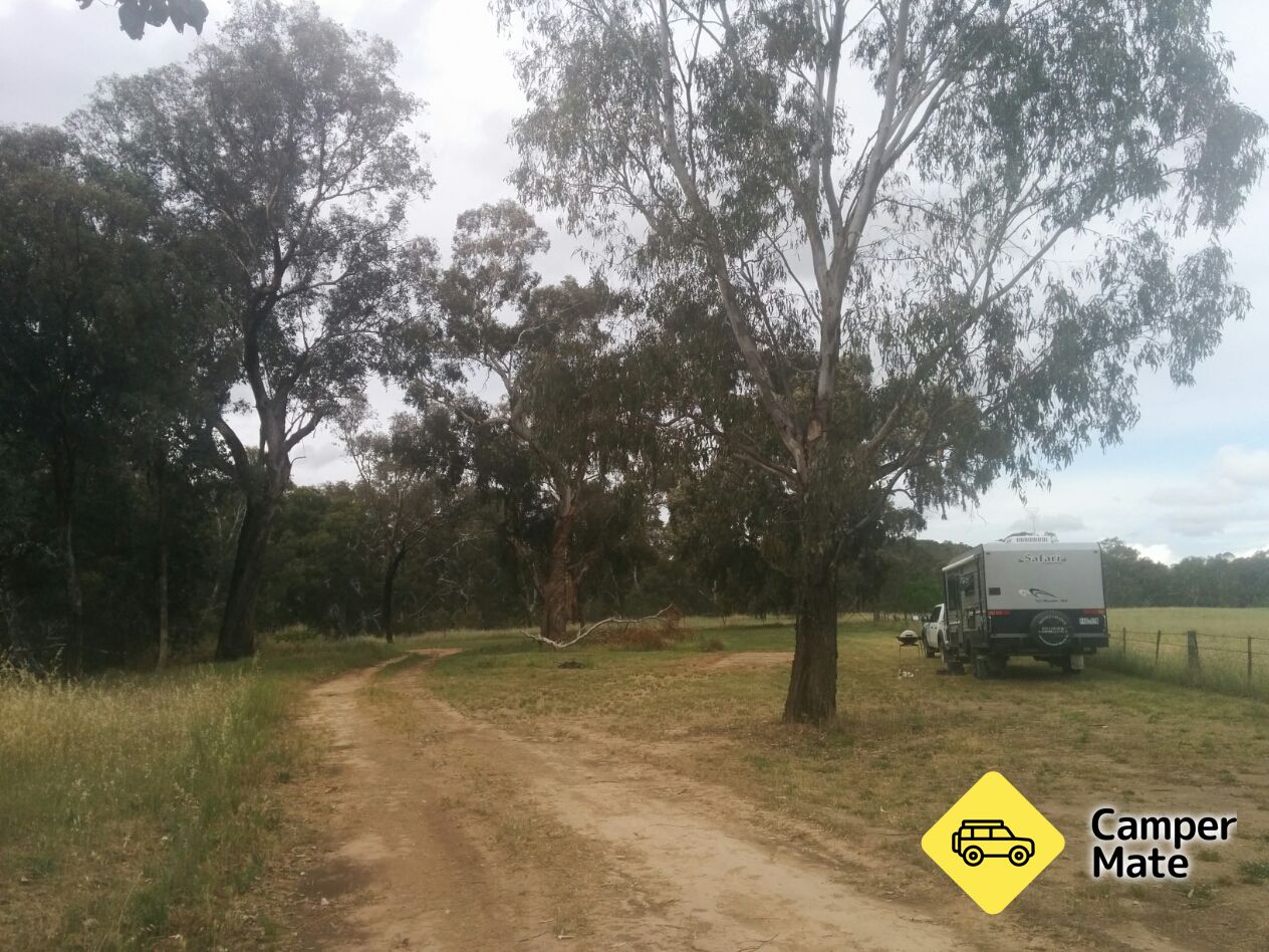 Billabong Creek Camp Area - Image 2