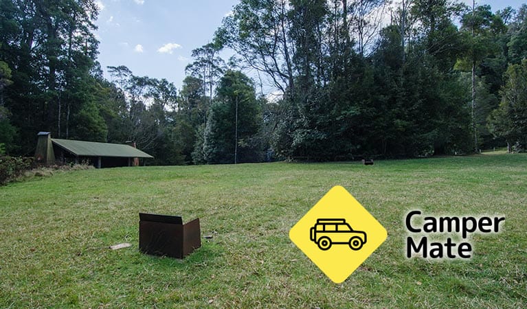 Plateau Beech Campground - Image 2