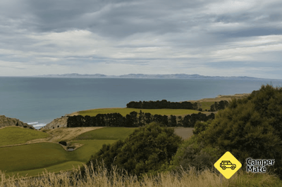 Tiromoana Bush Walk