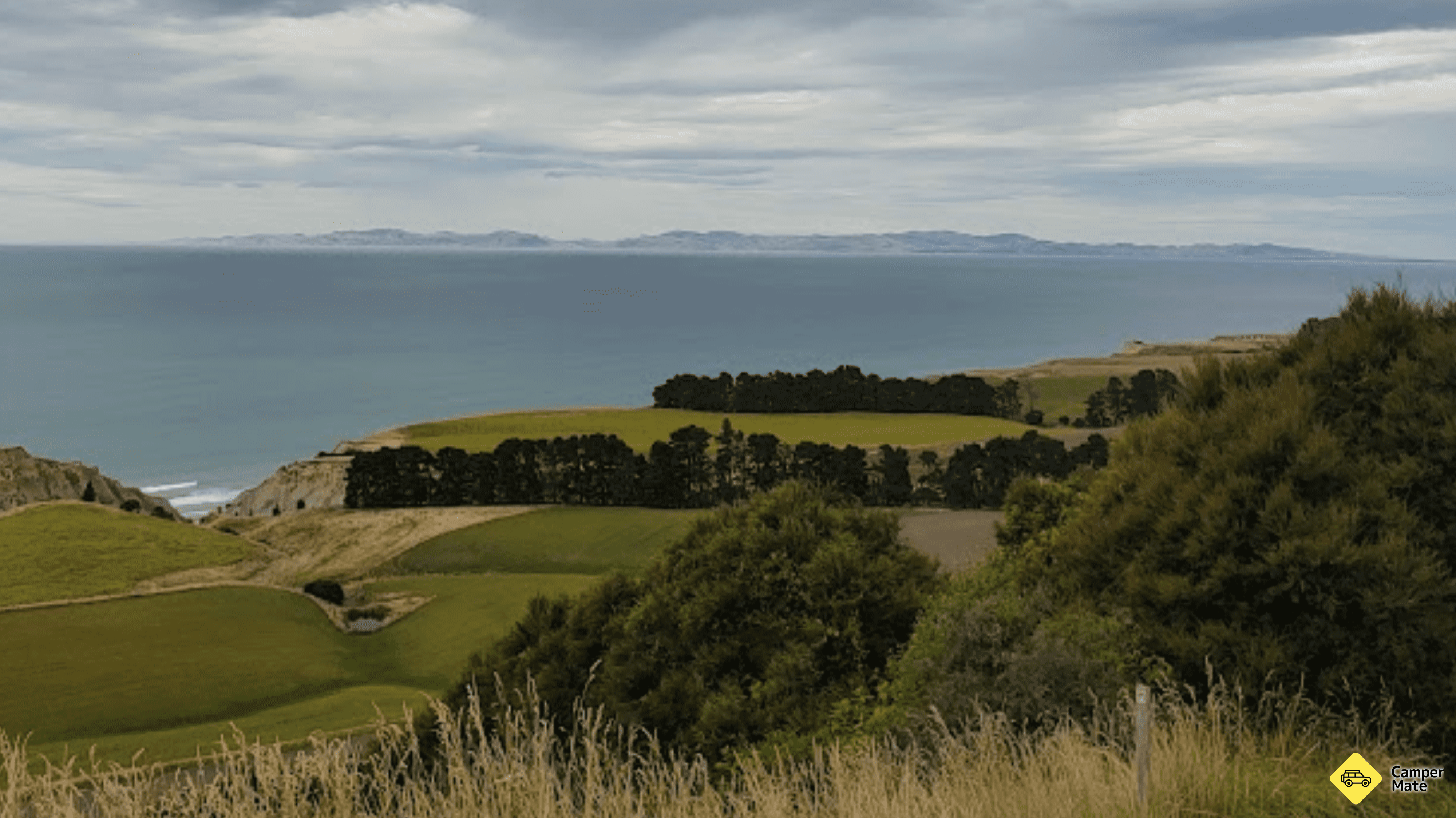 Tiromoana Bush Walk