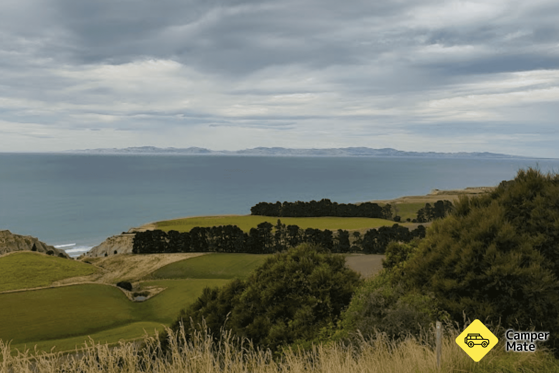 Tiromoana Bush Walk
