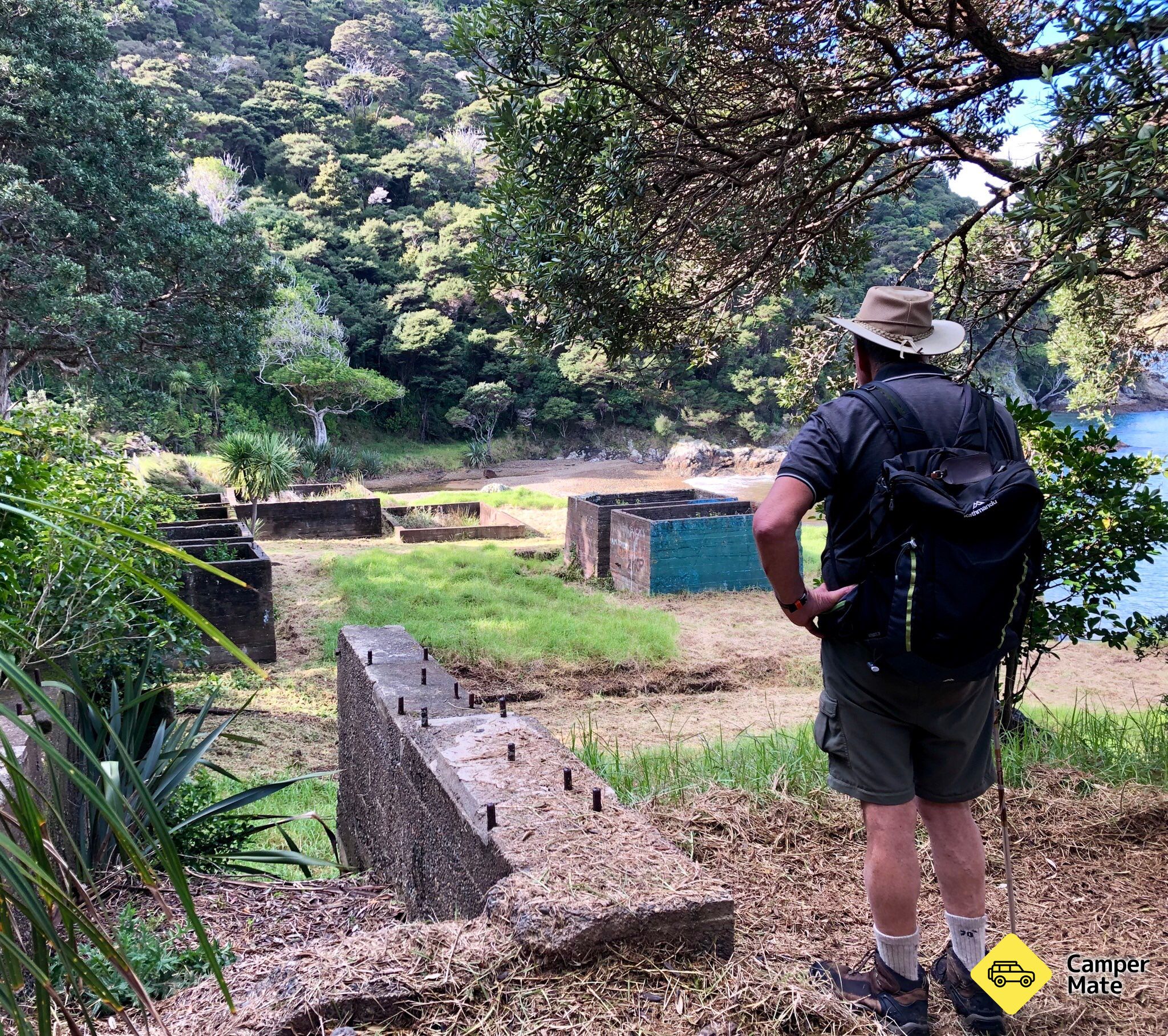 Whangamumu Track - Image 2