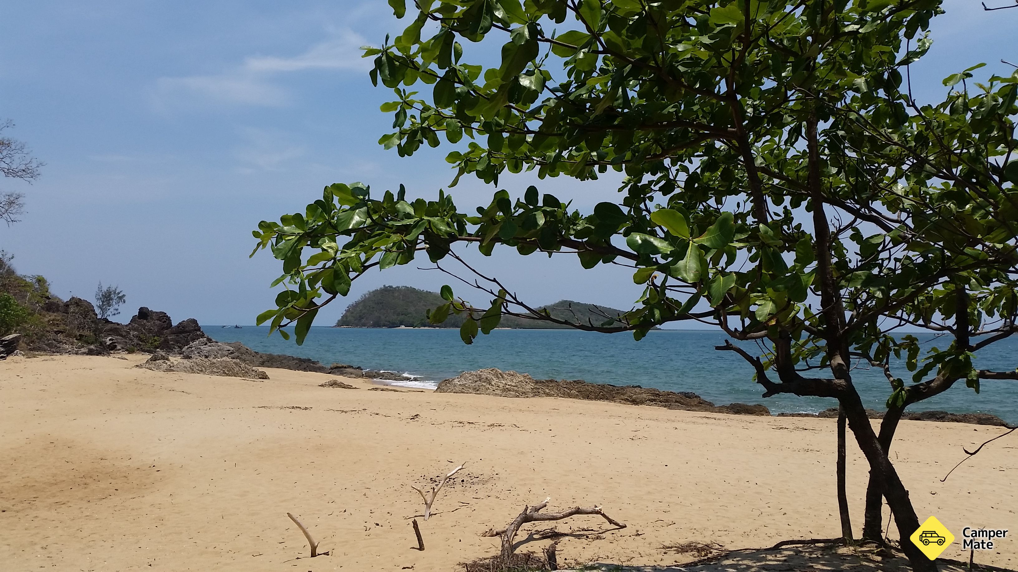 Palm Cove - Image 3