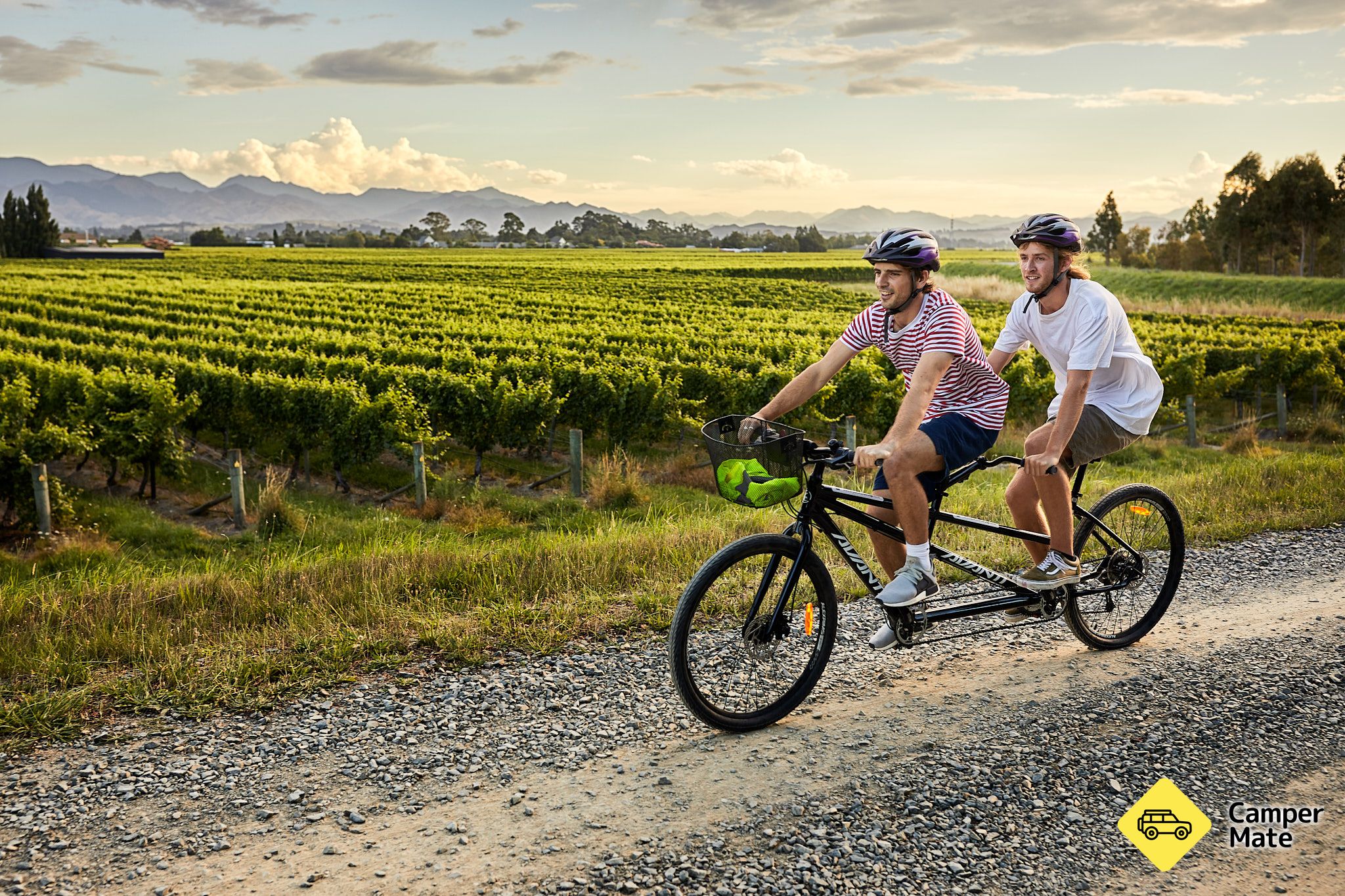 Sip ja Cycle Vineyard -kiertue - Image 3
