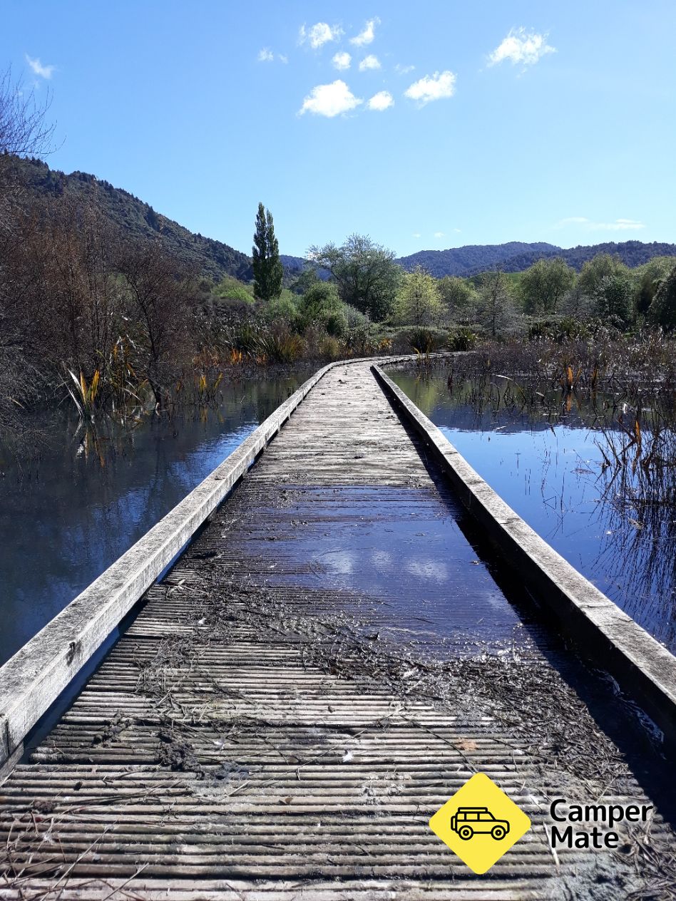Lake Okareka Walkway - Image 2
