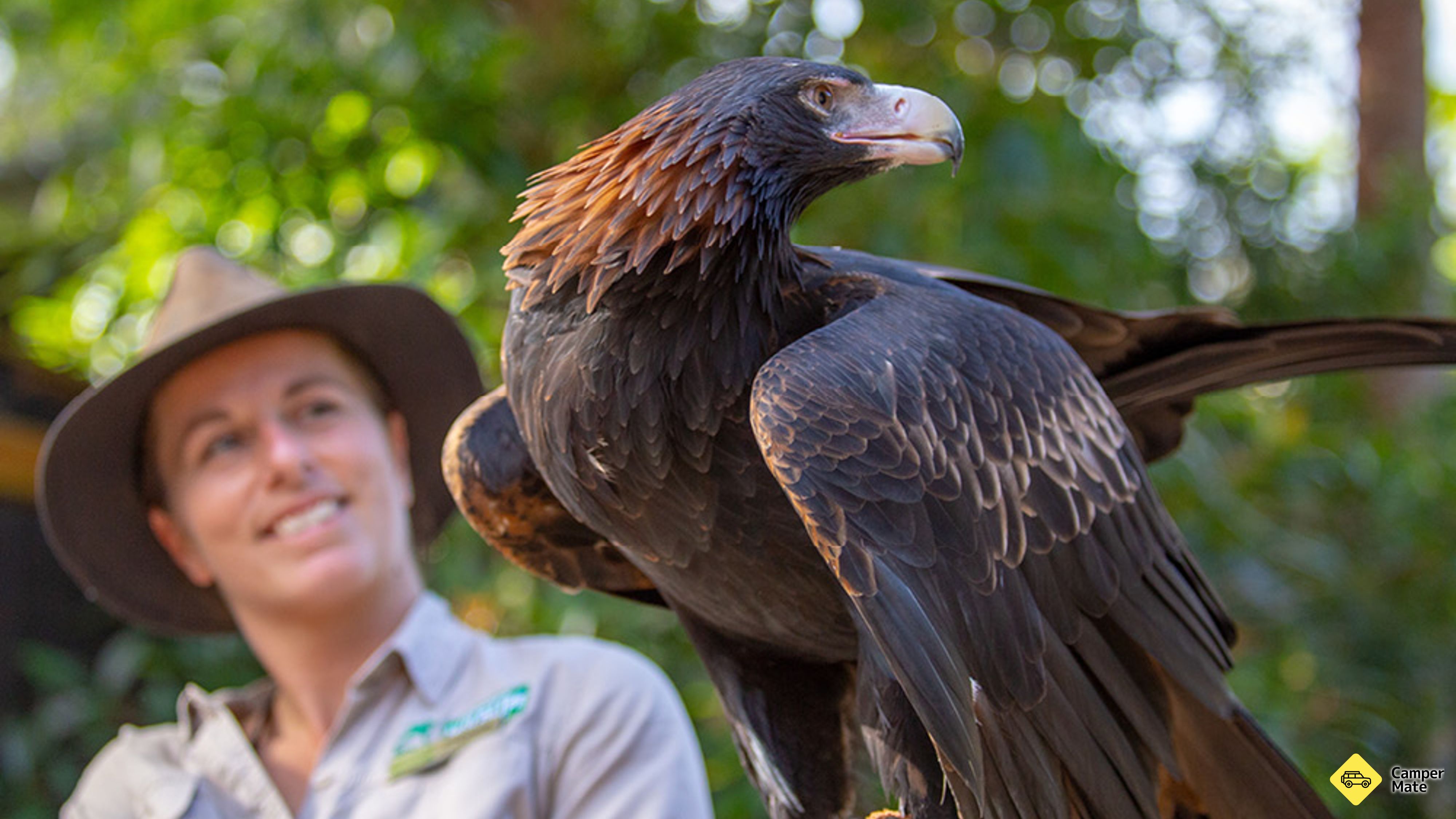 Restaurantes em Currumbin Wildlife Sanctuary