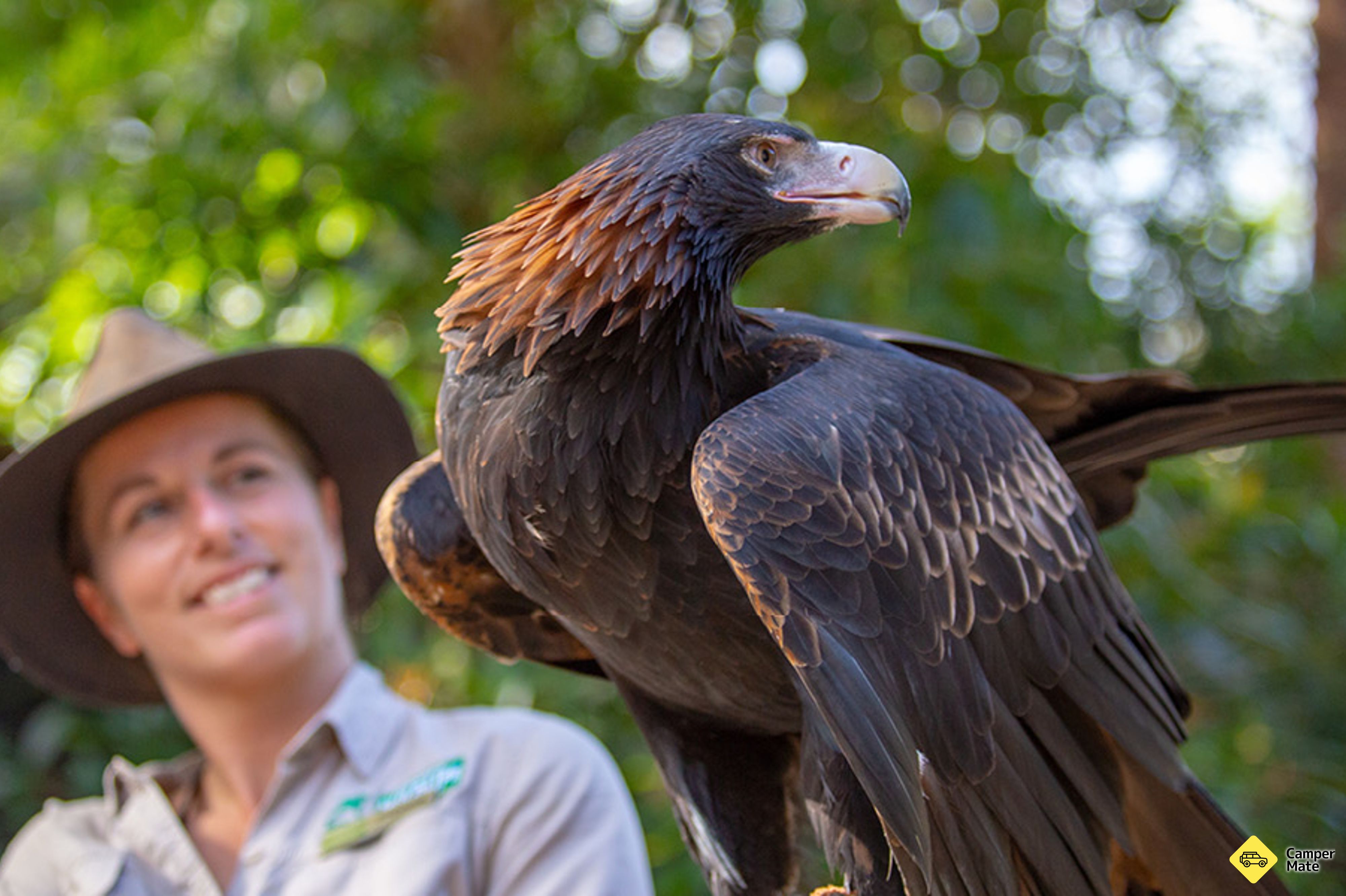 Restaurantes em Currumbin Wildlife Sanctuary