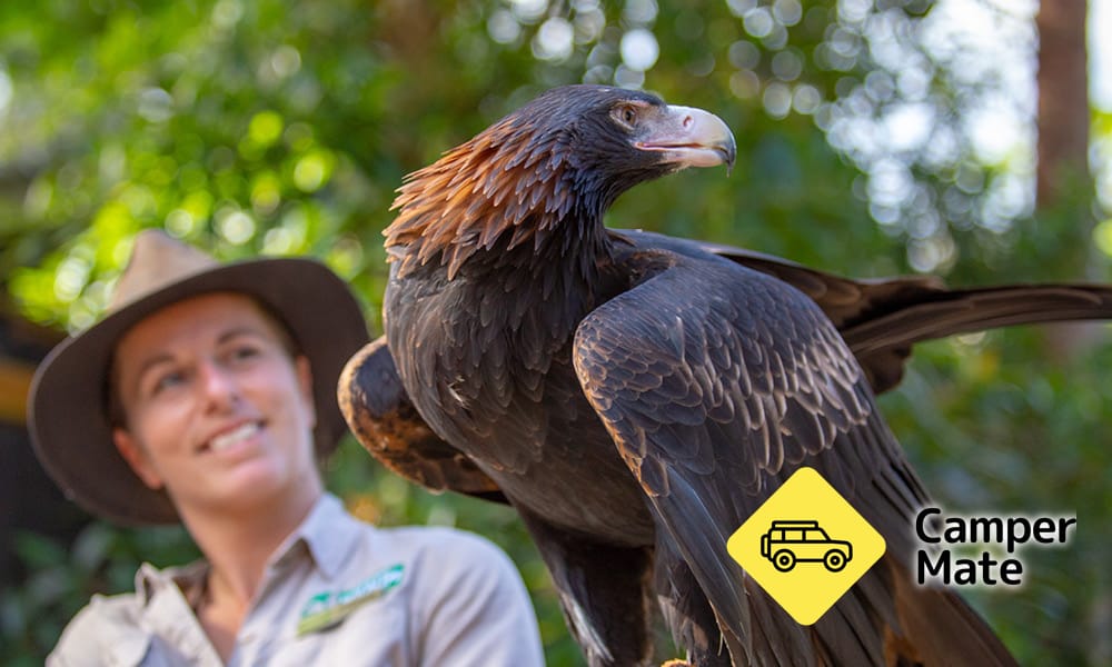 Currumbin Wildlife Sanctuary yakınındaki oteller