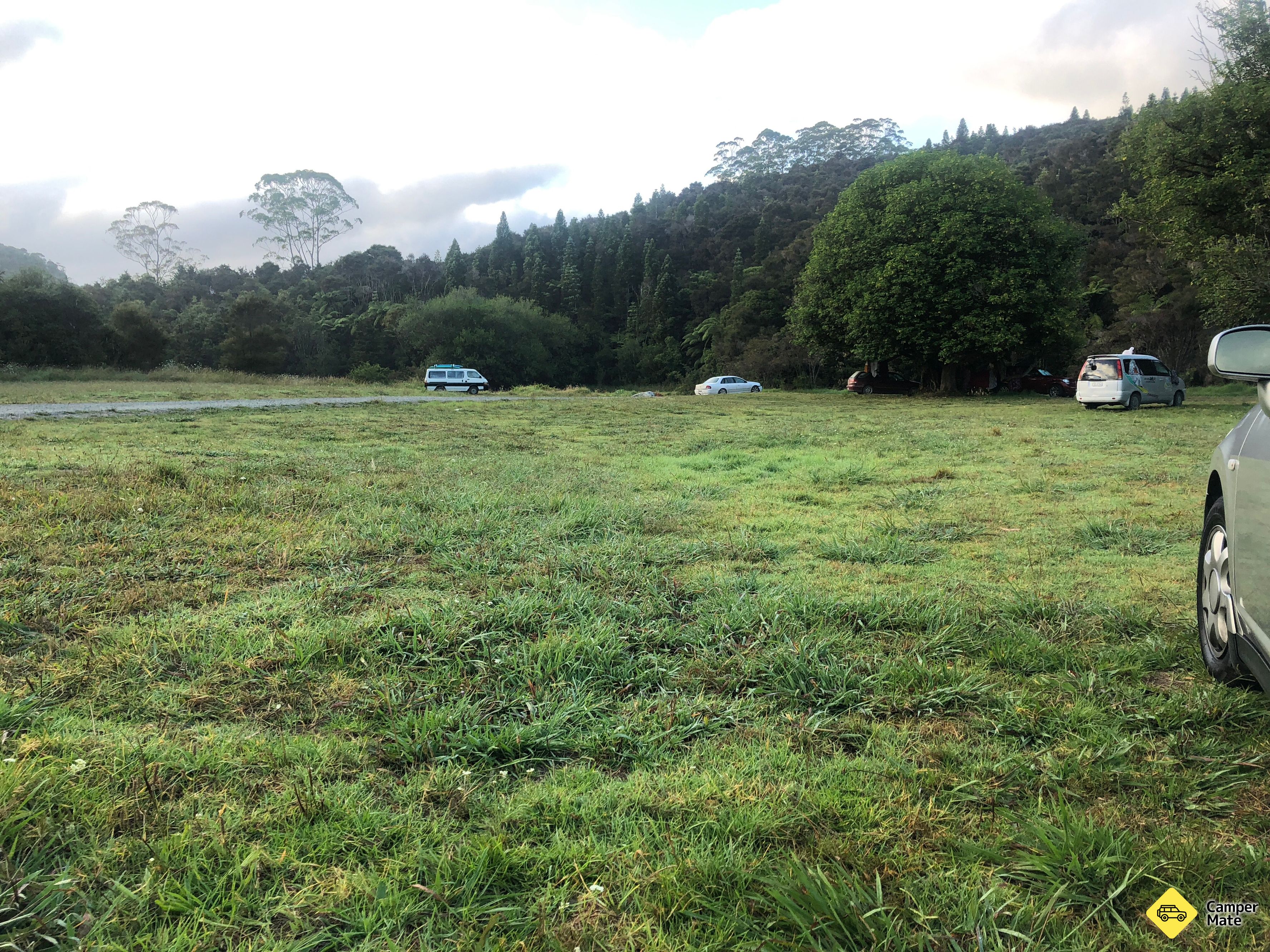 Raetea North Side Campsite - Image 2