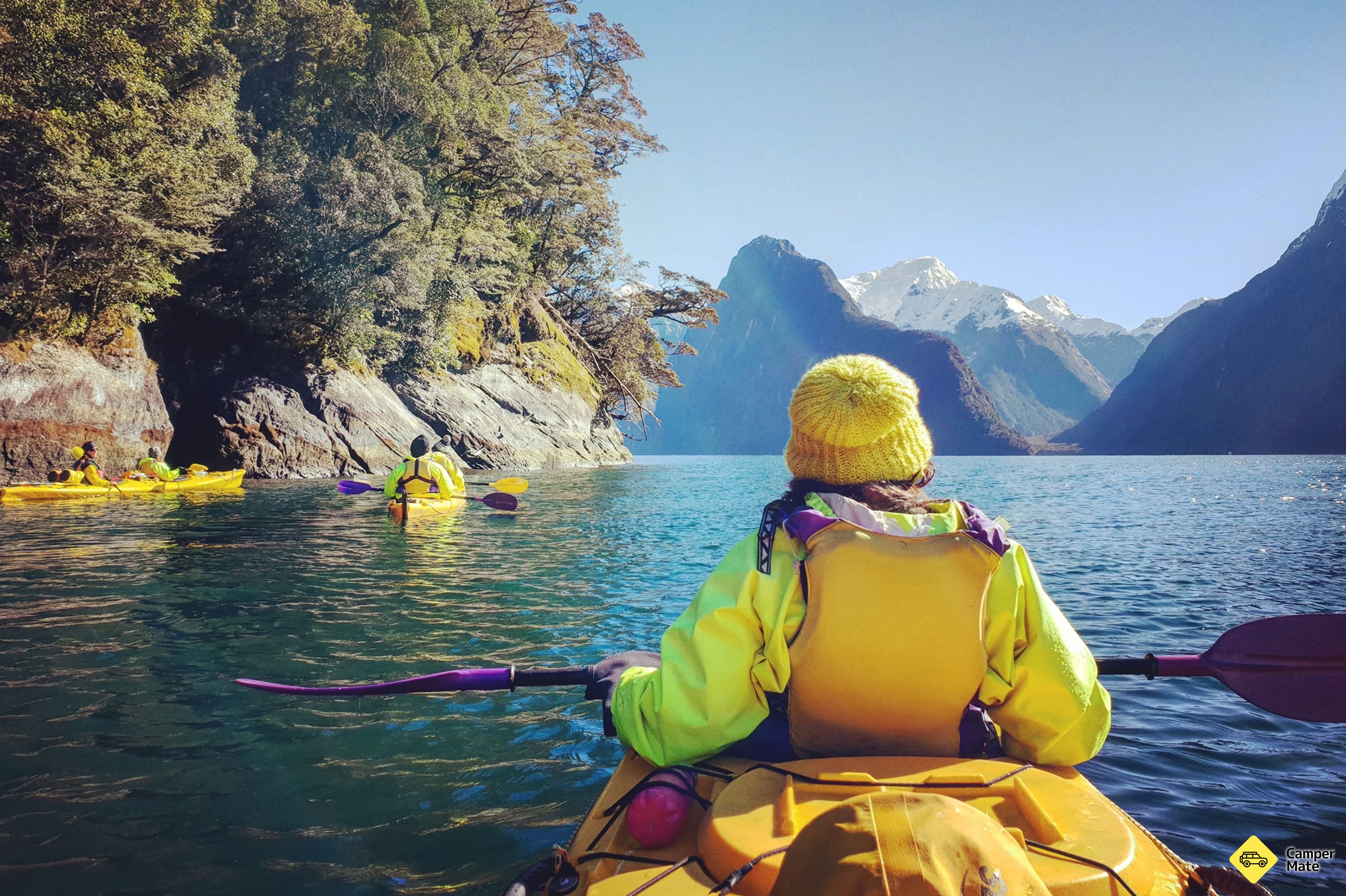 Milford Sound Small Boat Cruise - Image 3
