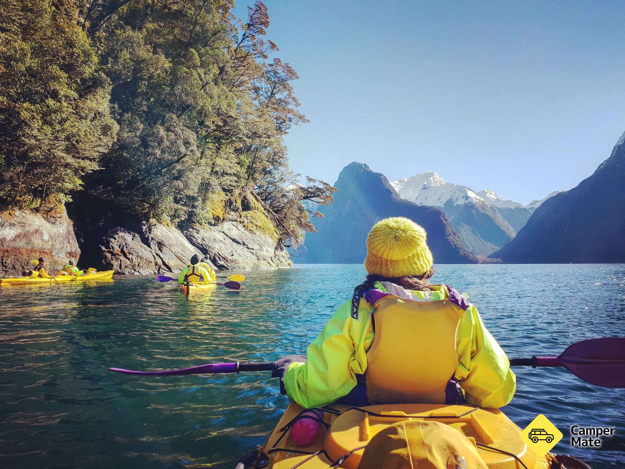 Milford Sound Small Boat Cruise - Image 3