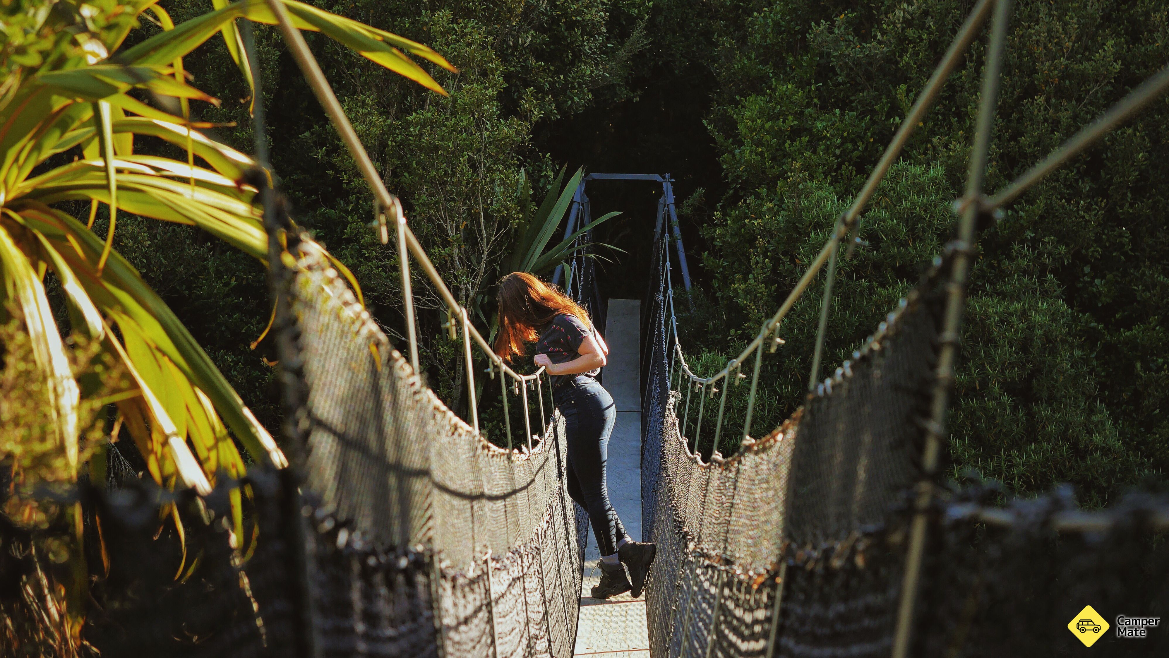 Waingongoro swing brug