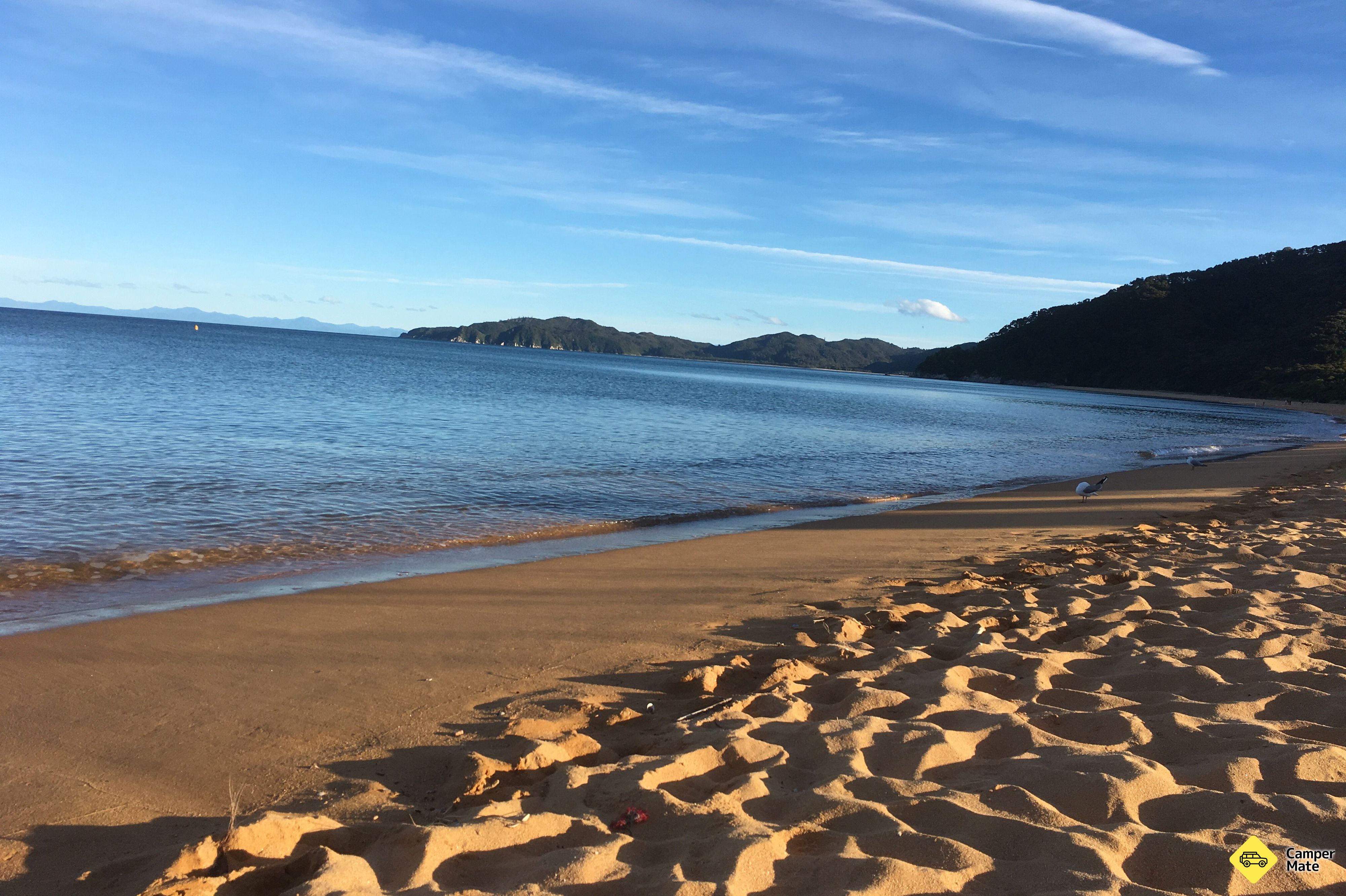 Totaranui Campground - Image 2