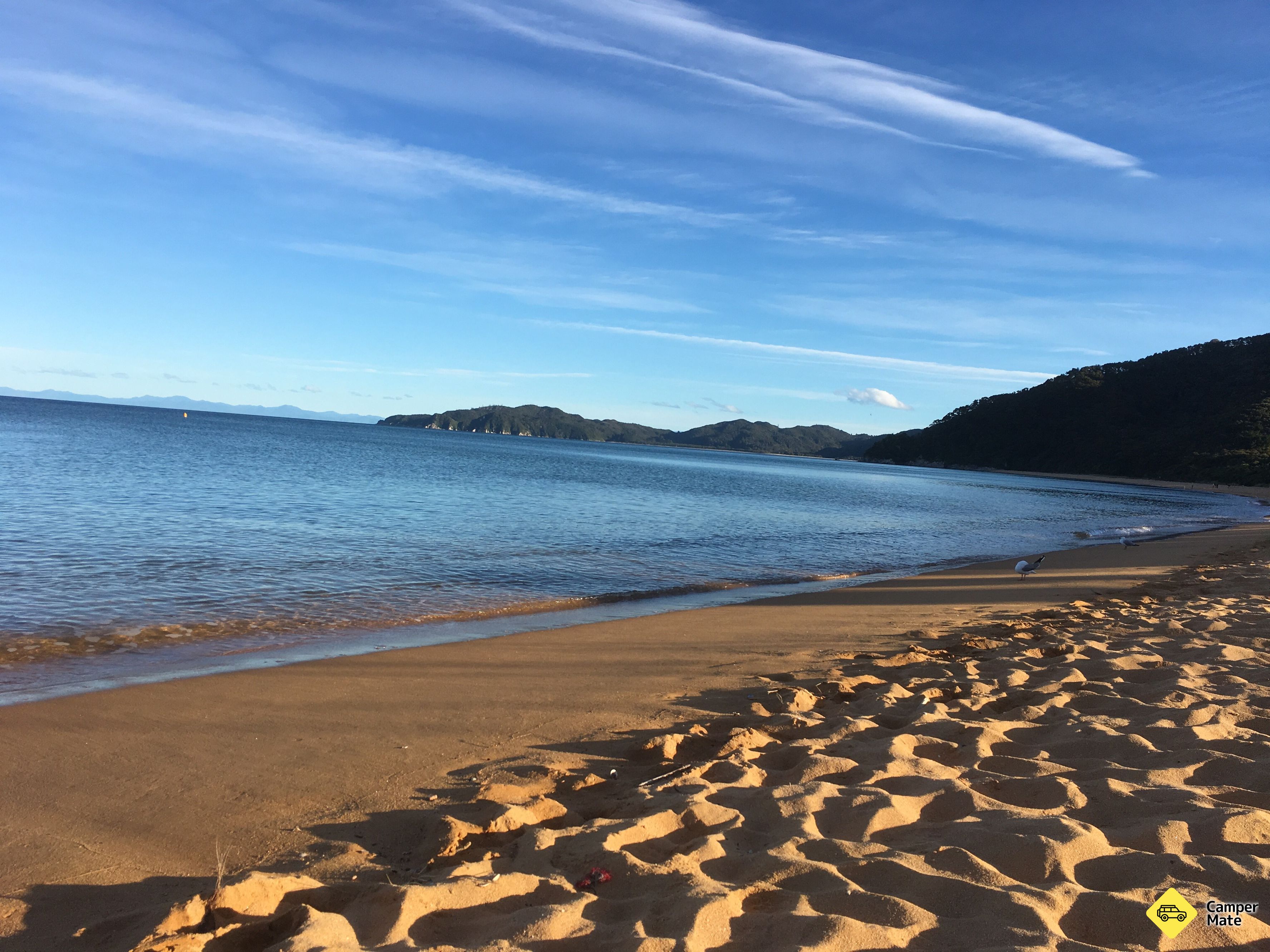 Totaranui Campground - Image 2