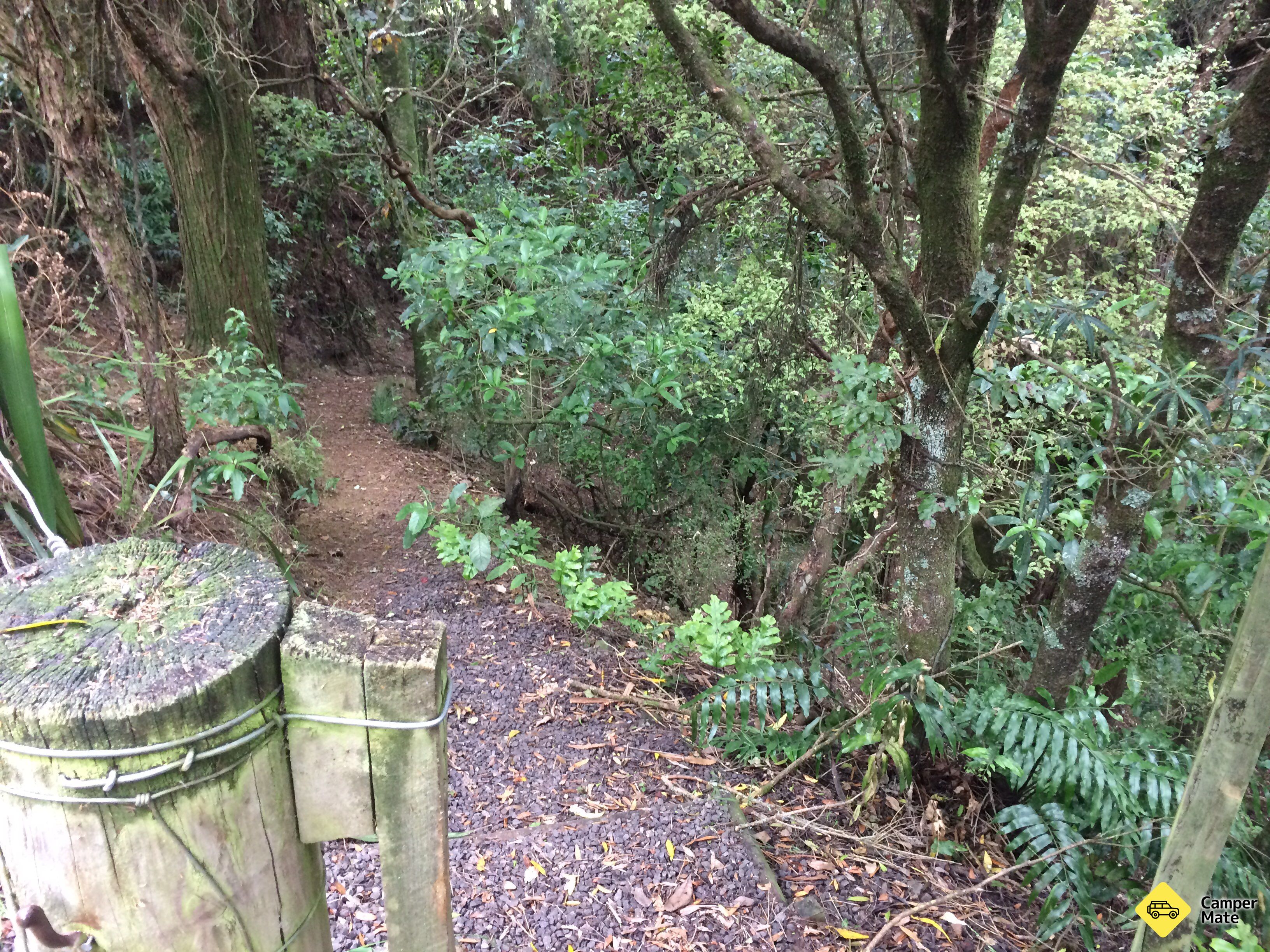 Mangatoro scenic reserve - Image 2