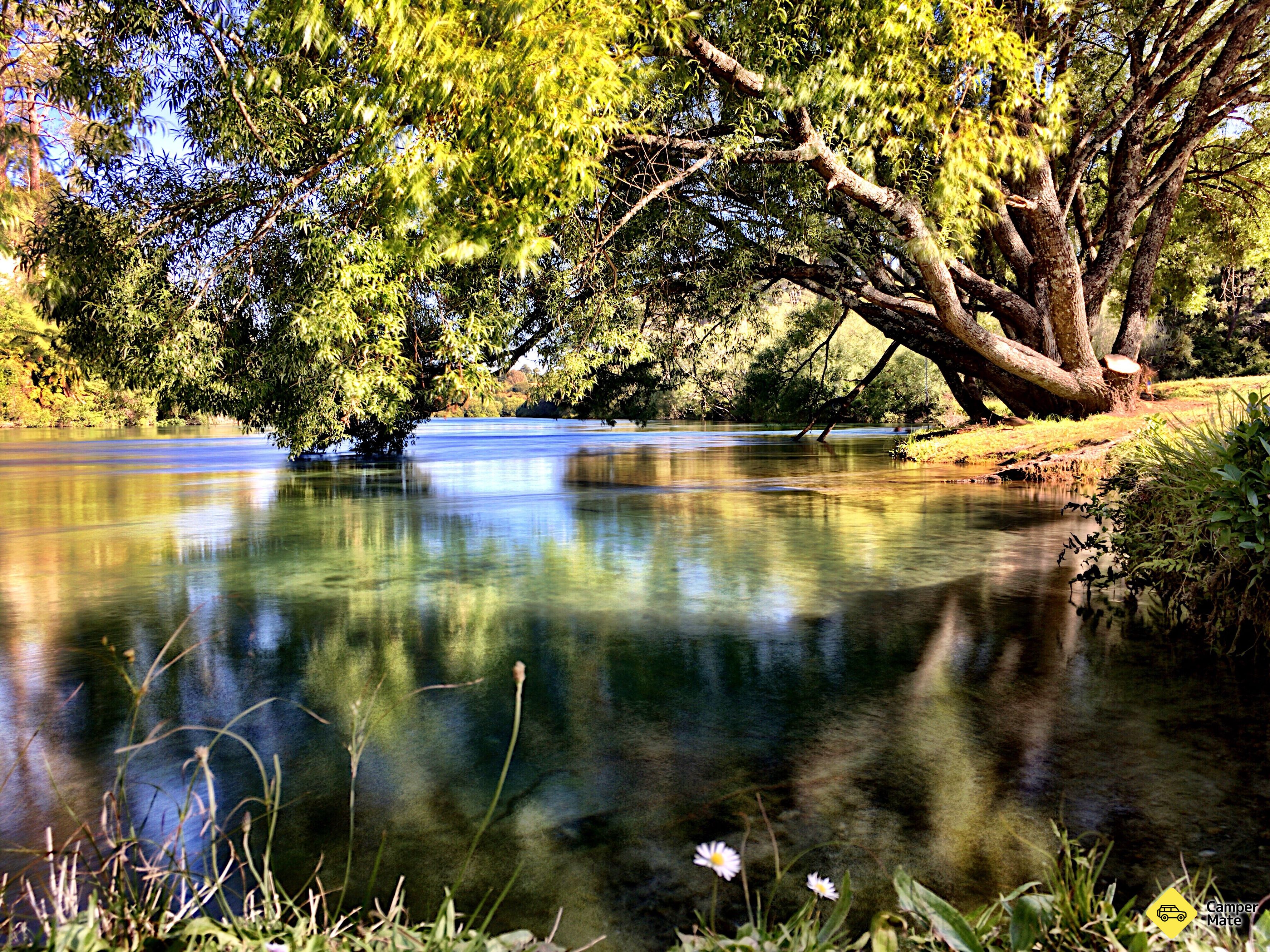 Reids Farm - Hipapatua Recreational Reserve - Image 3