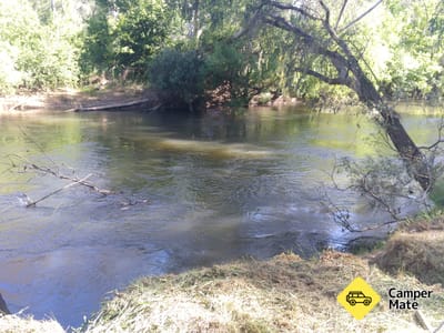 Pionierii de poduri