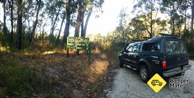 כדורסל Swamp Campground