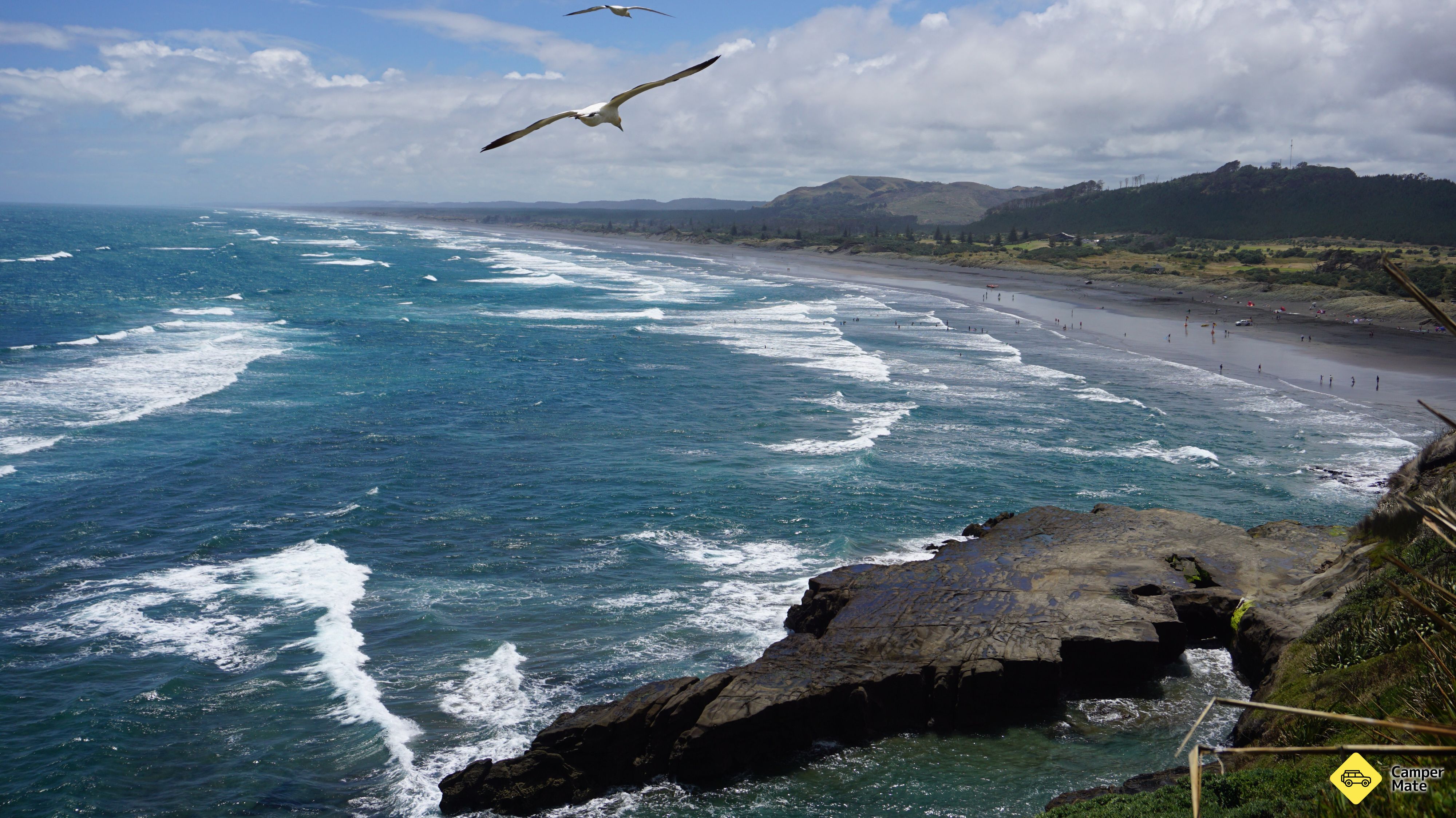 Muriwai 해변