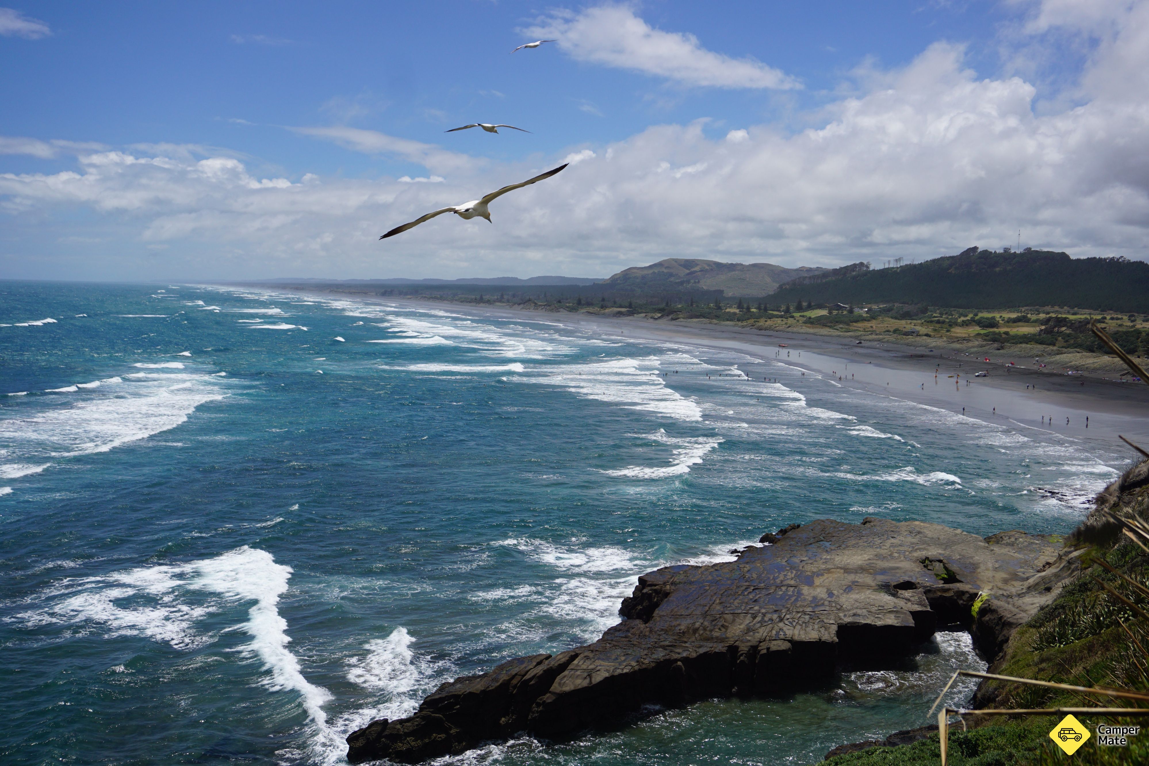 Muriwai Beach