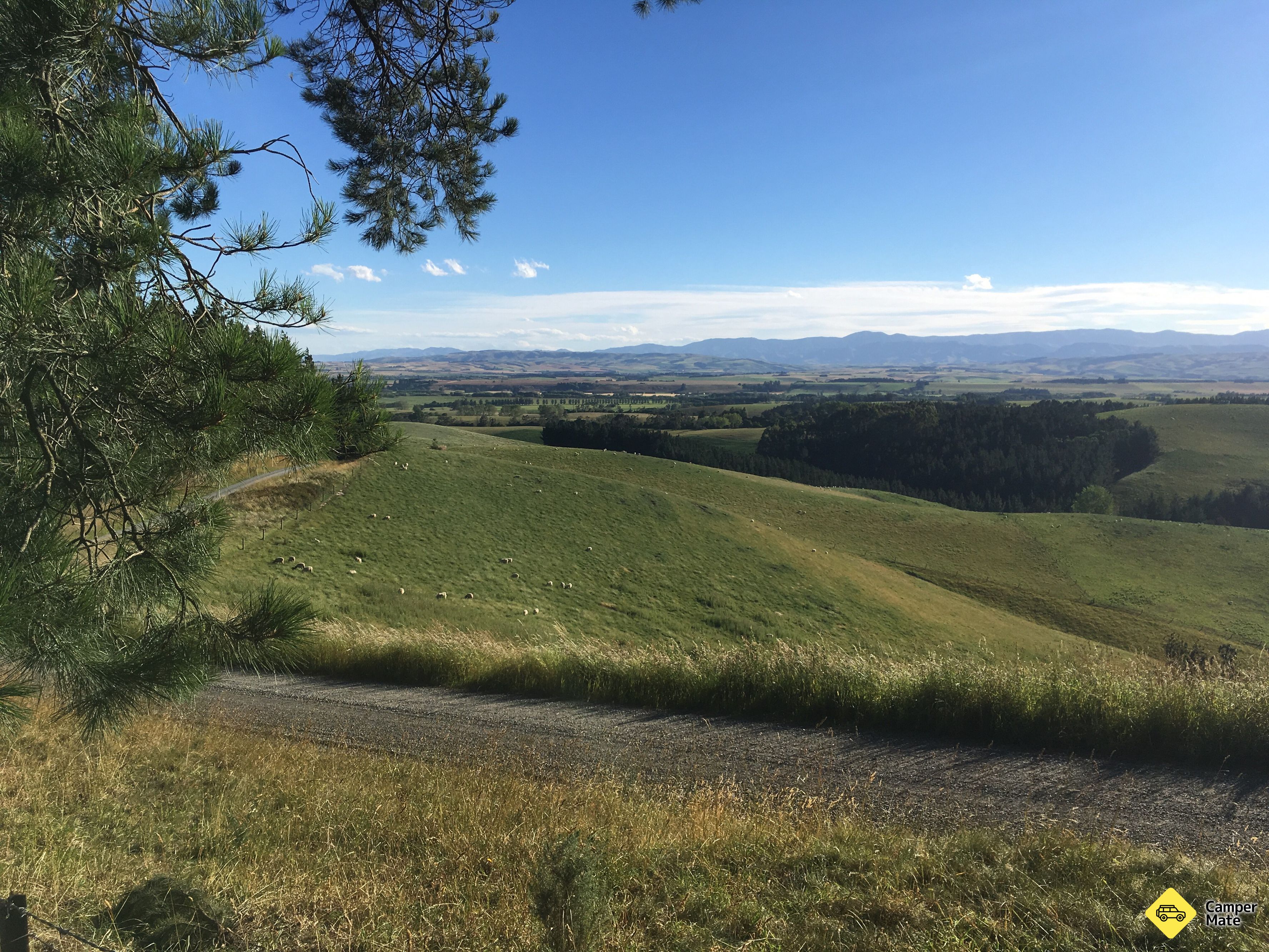 Waitohi Bushovy rezervace - Image 2