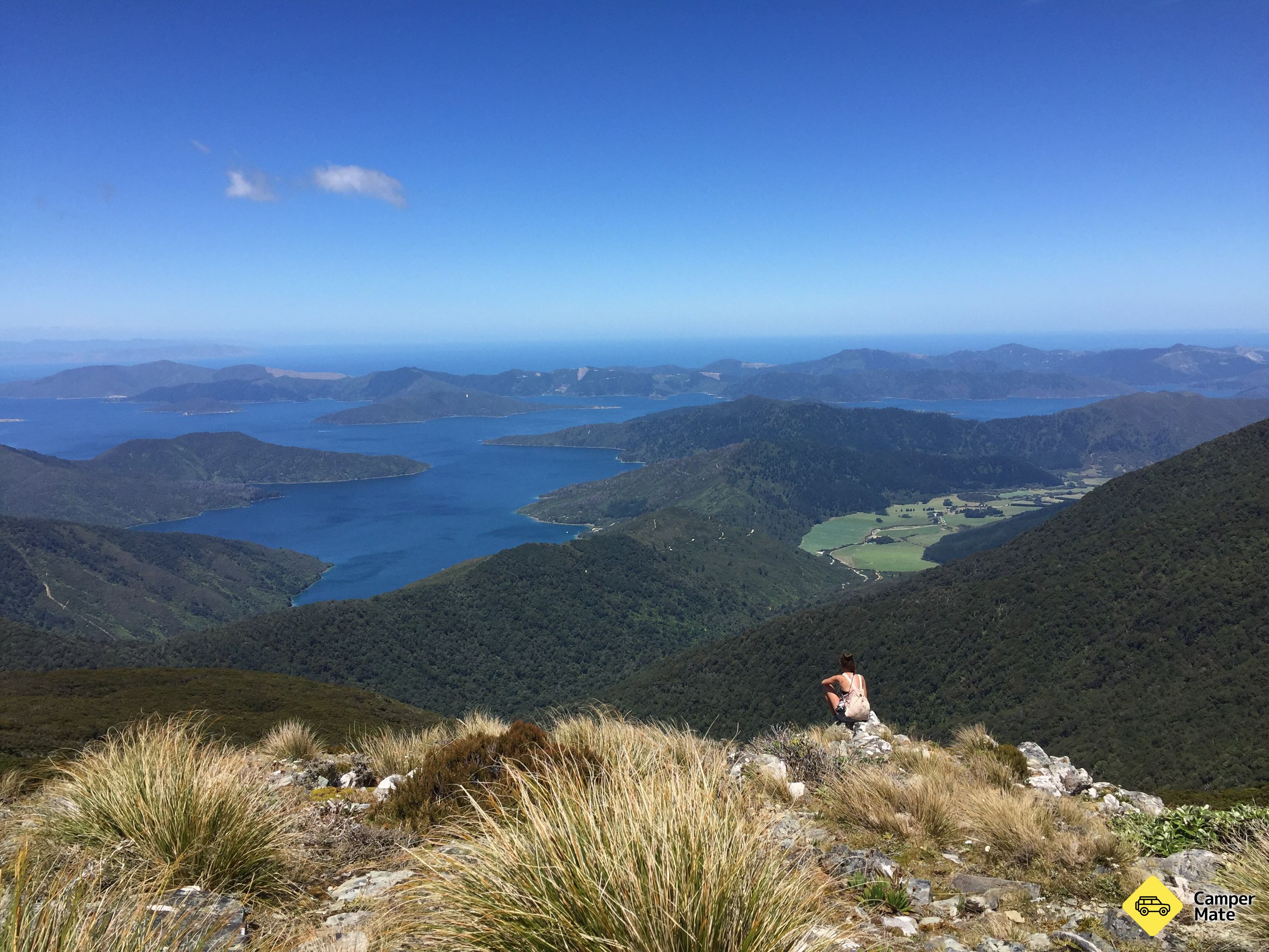 Mt Stokes spor