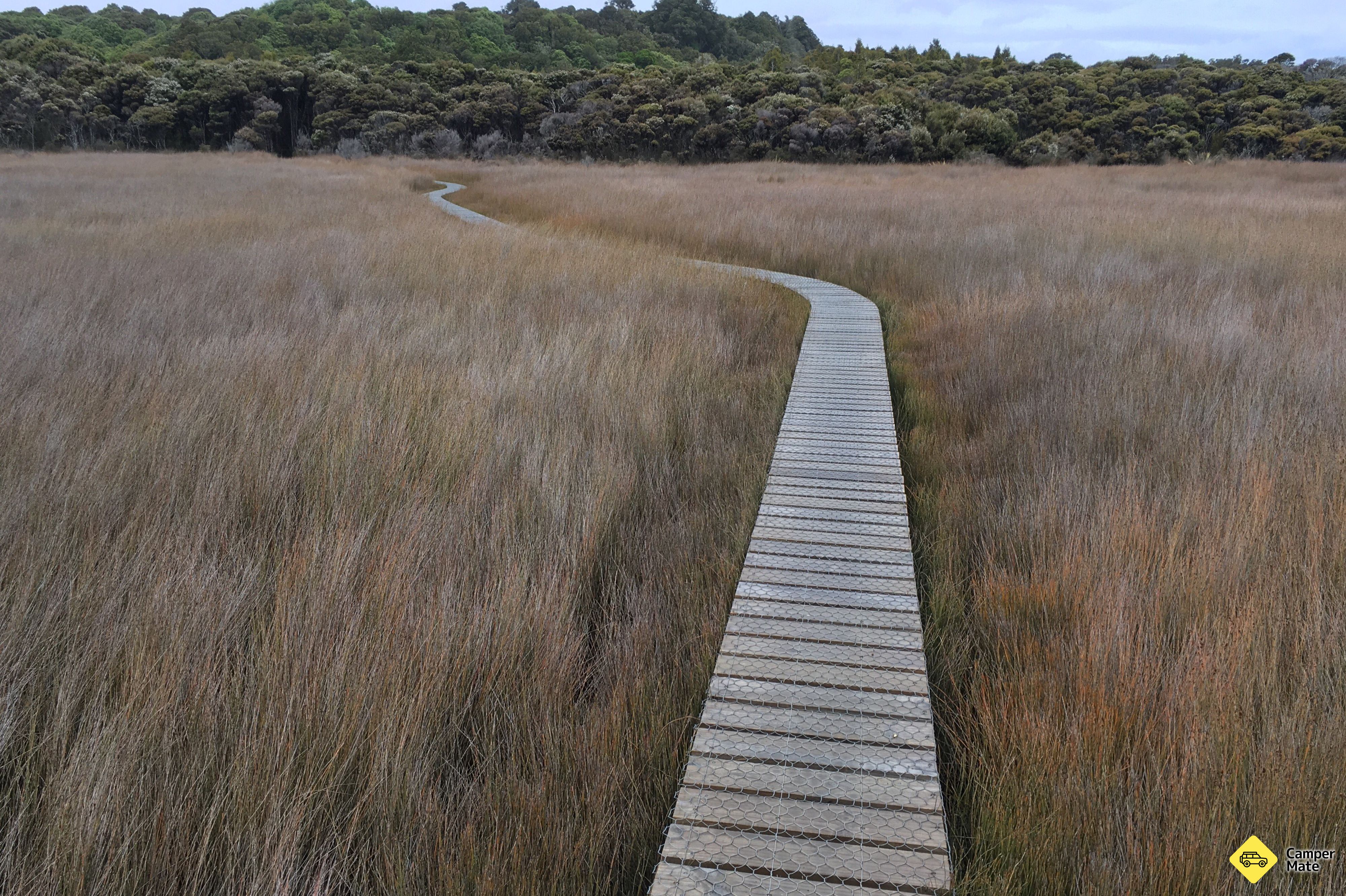 Tautuku estuario Boardwalk - Image 2