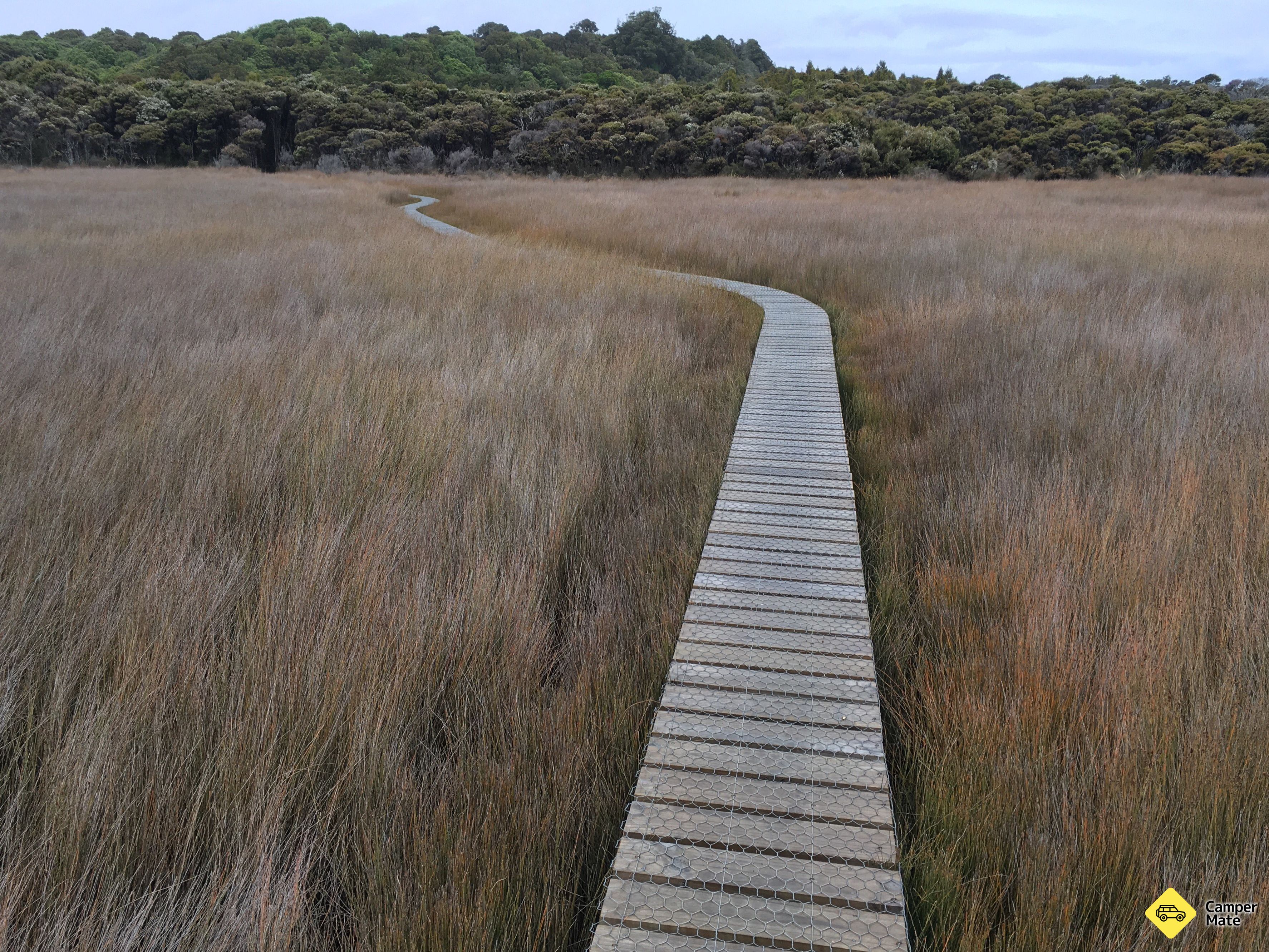 Tautuku Estuary Boardwalk - Image 2