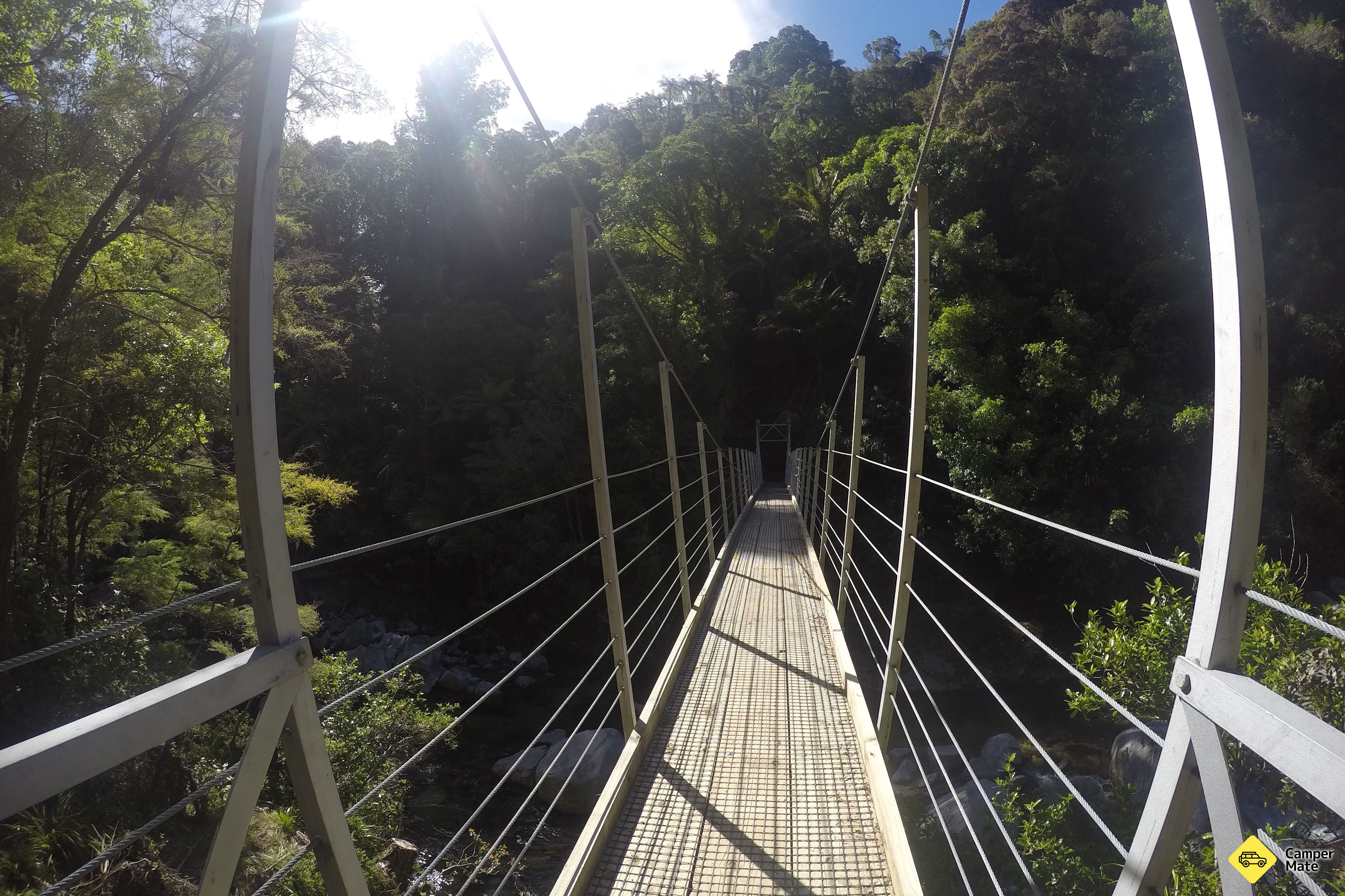 Wainui Falls - Image 3