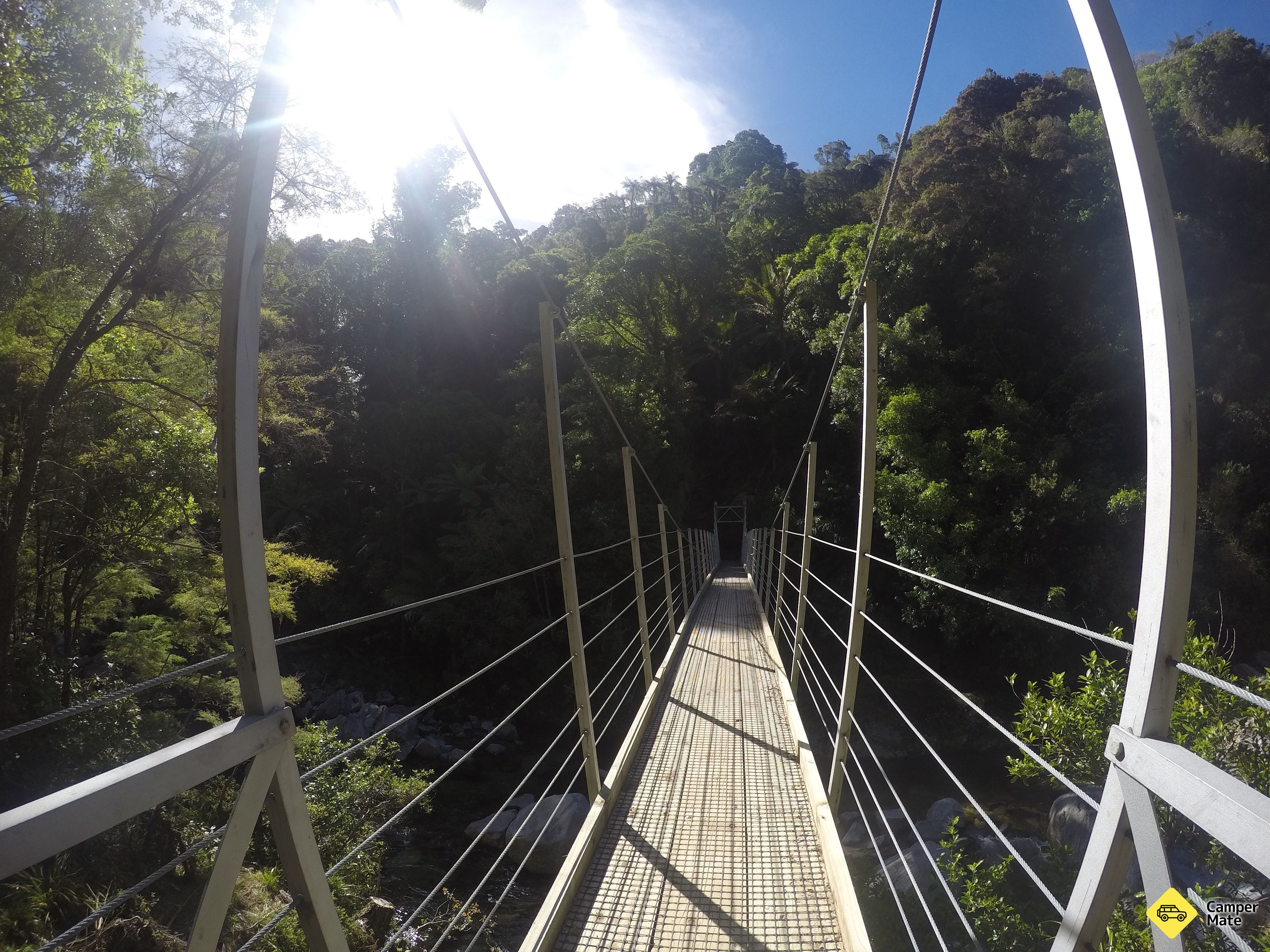 Wainui Falls - Image 3