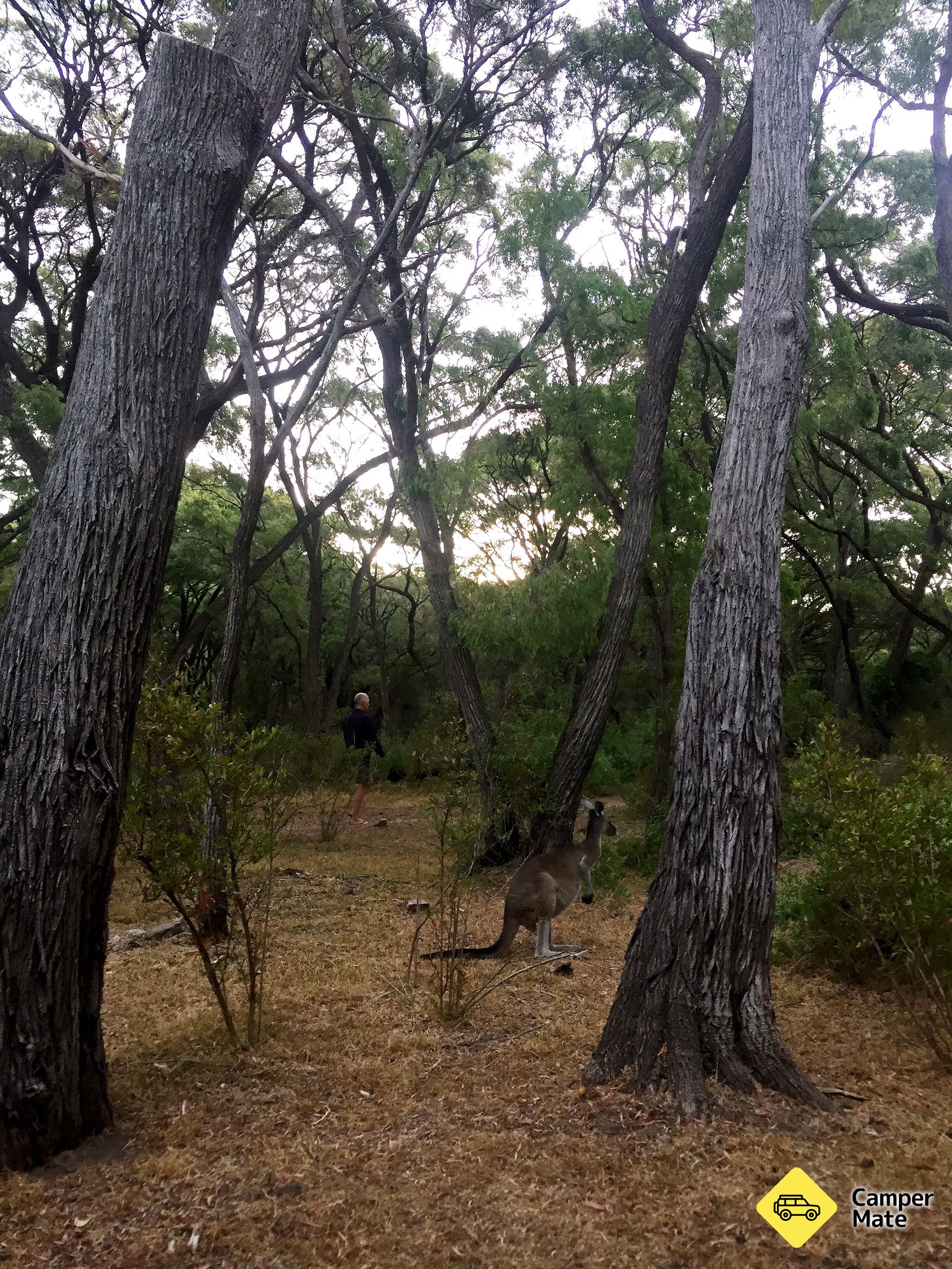 Conto Field Campground