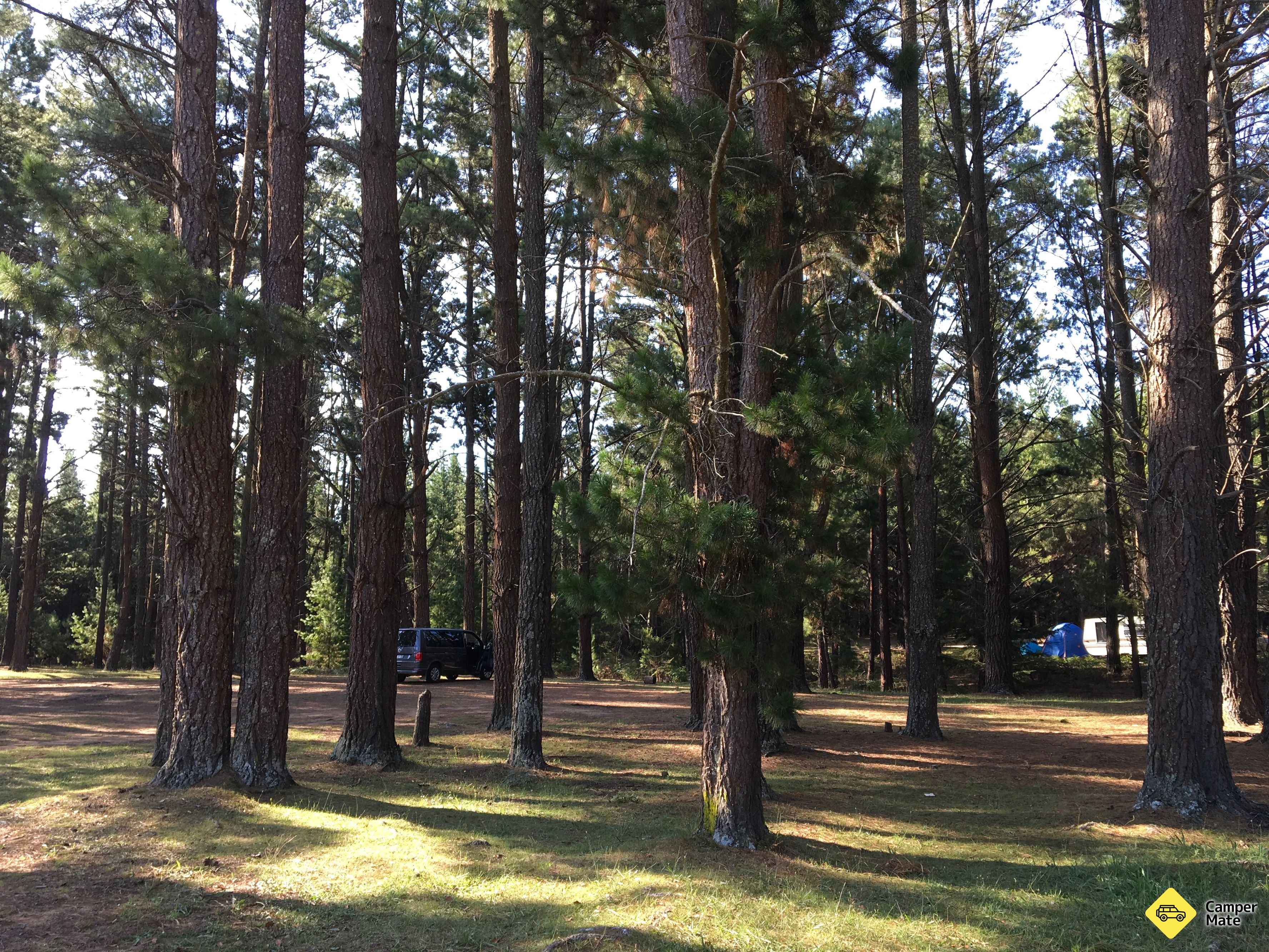 HQ Camp - Image 3