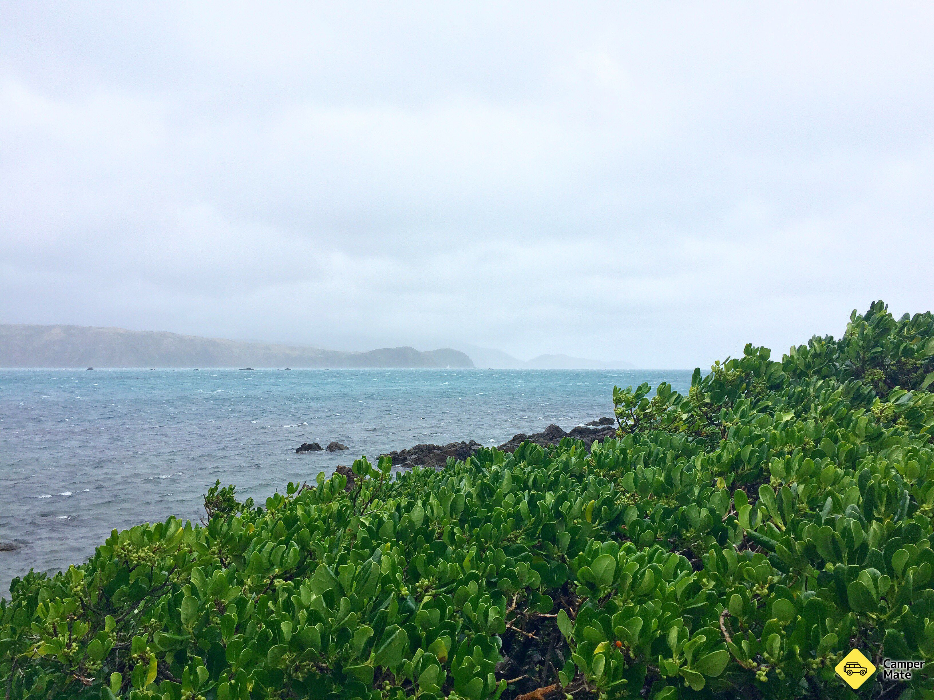 Te Raekaihou Point - Image 3