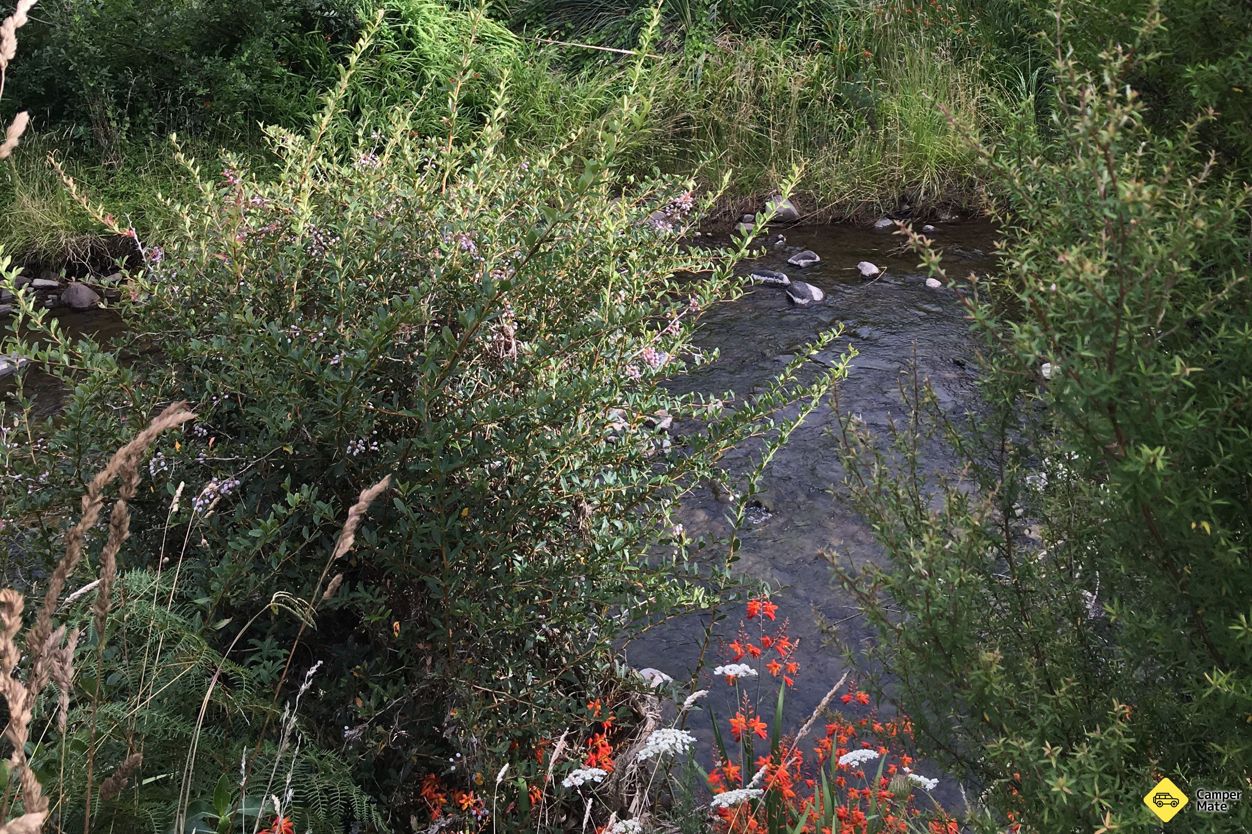 Tapu Creek Campervan สวน - Image 2