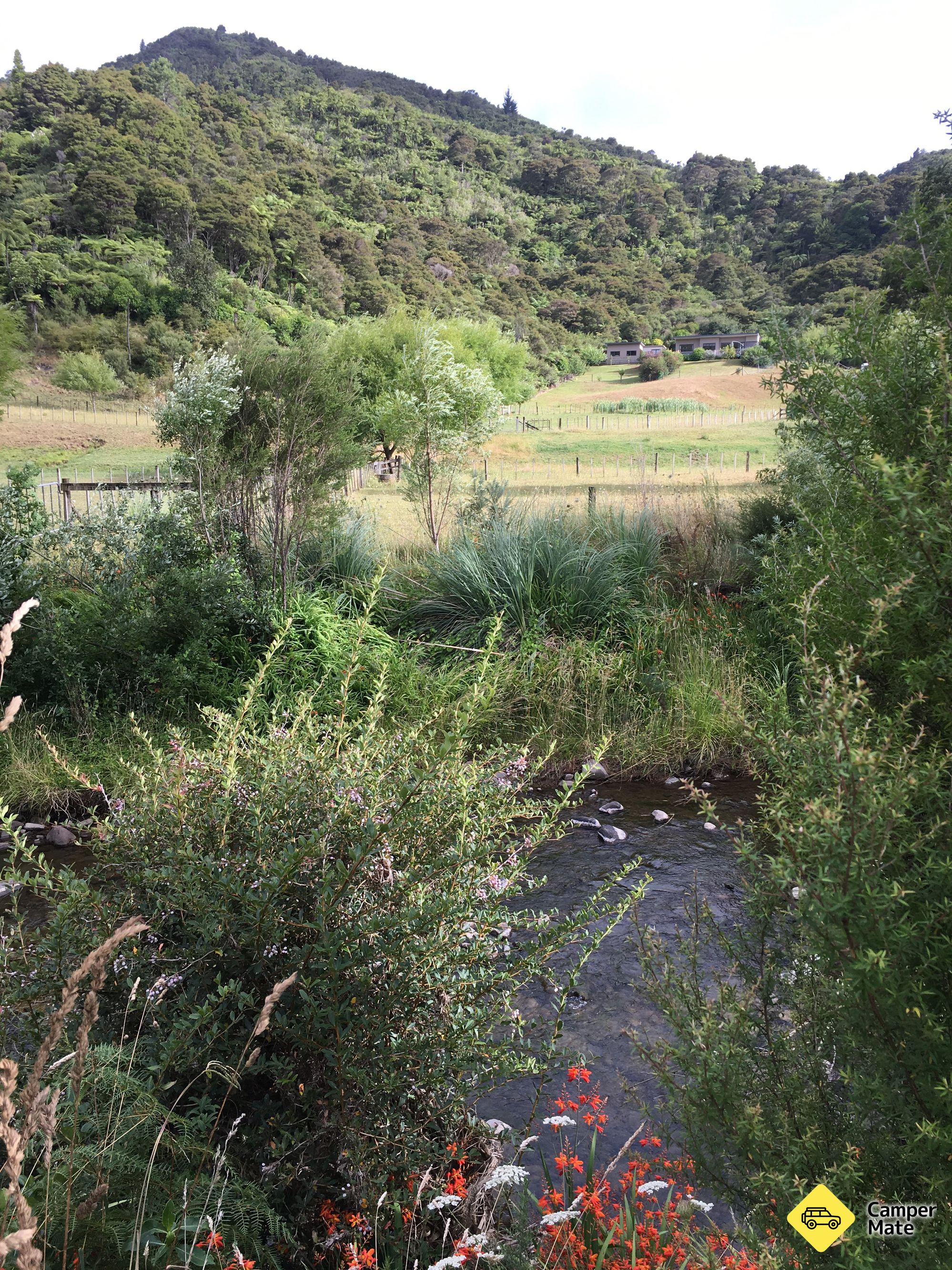 Tapu Creek Campervan สวน - Image 2